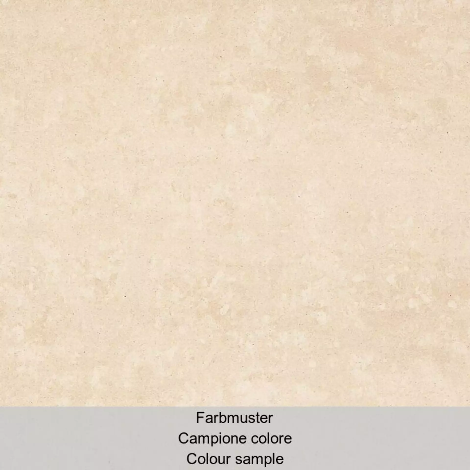 Casalgrande Marte Palissandro Naturale – Matt Palissandro 9950241 natur matt 60x60cm rektifiziert 9,4mm
