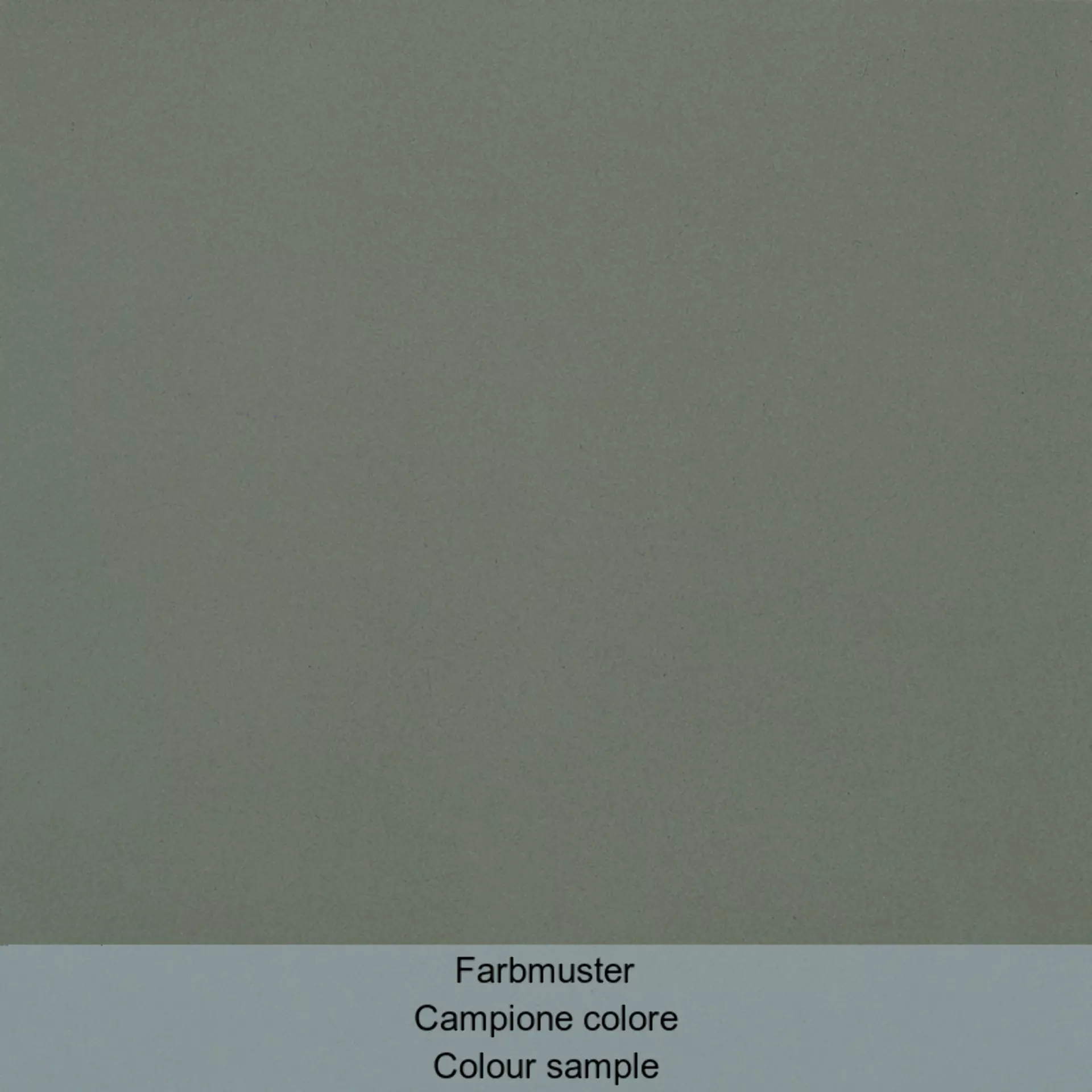 Casalgrande Unicolore Grigio Cenere Naturale – Matt 190002 20x20cm rectified 12mm