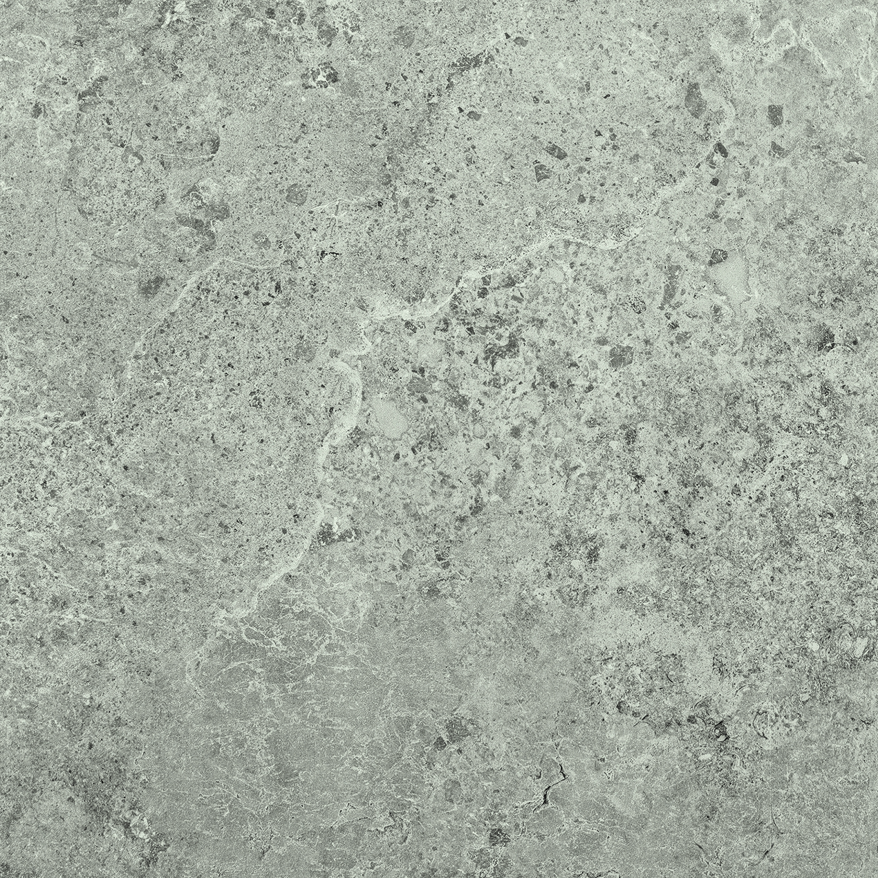 Bodenfliese,Wandfliese Serenissima Concreta Titanio Naturale Titanio 1081654 natur 60x60cm rektifiziert 9,5mm