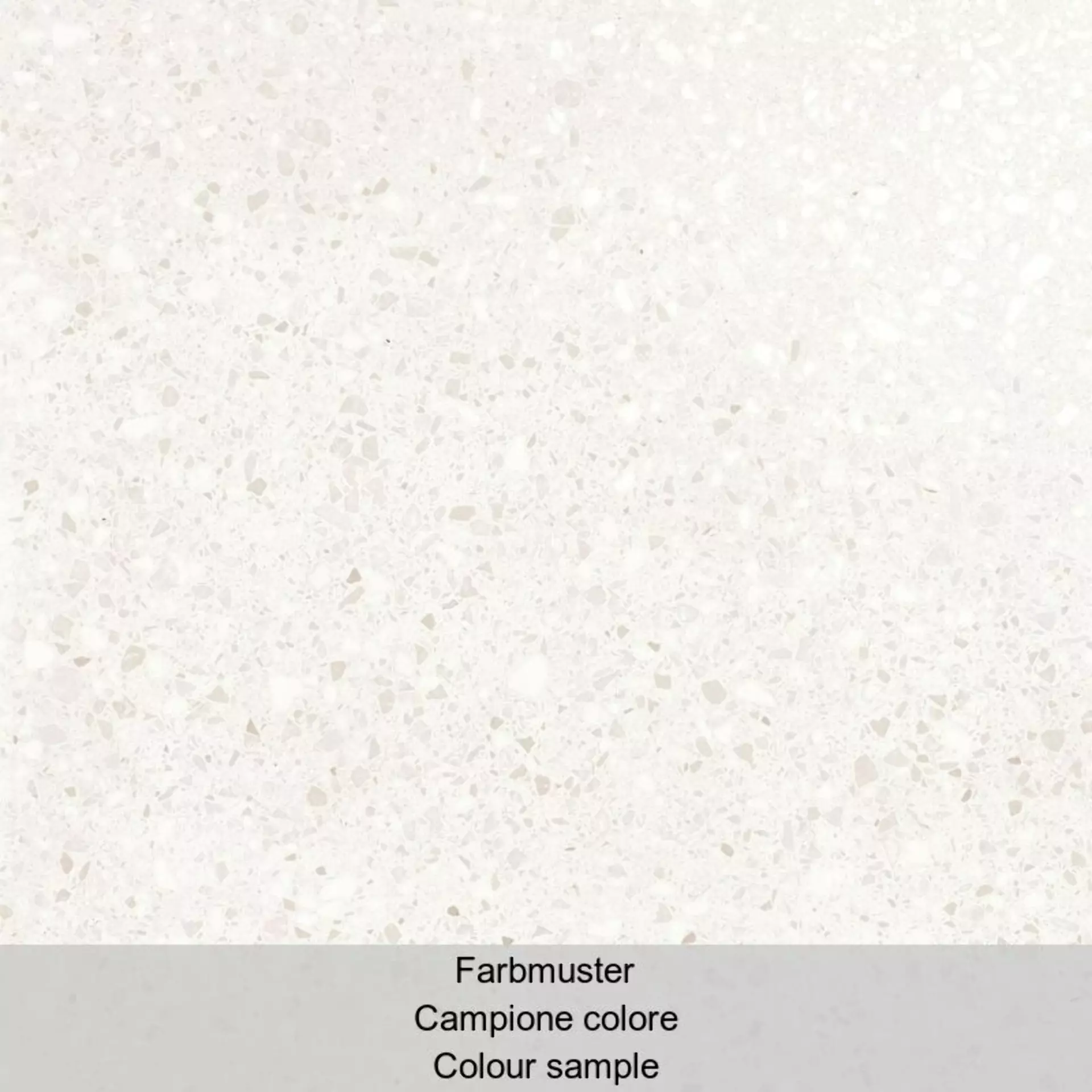 Casalgrande Terrazzo White Lappato White 11954641 gelaeppt 60x60cm rektifiziert 9mm