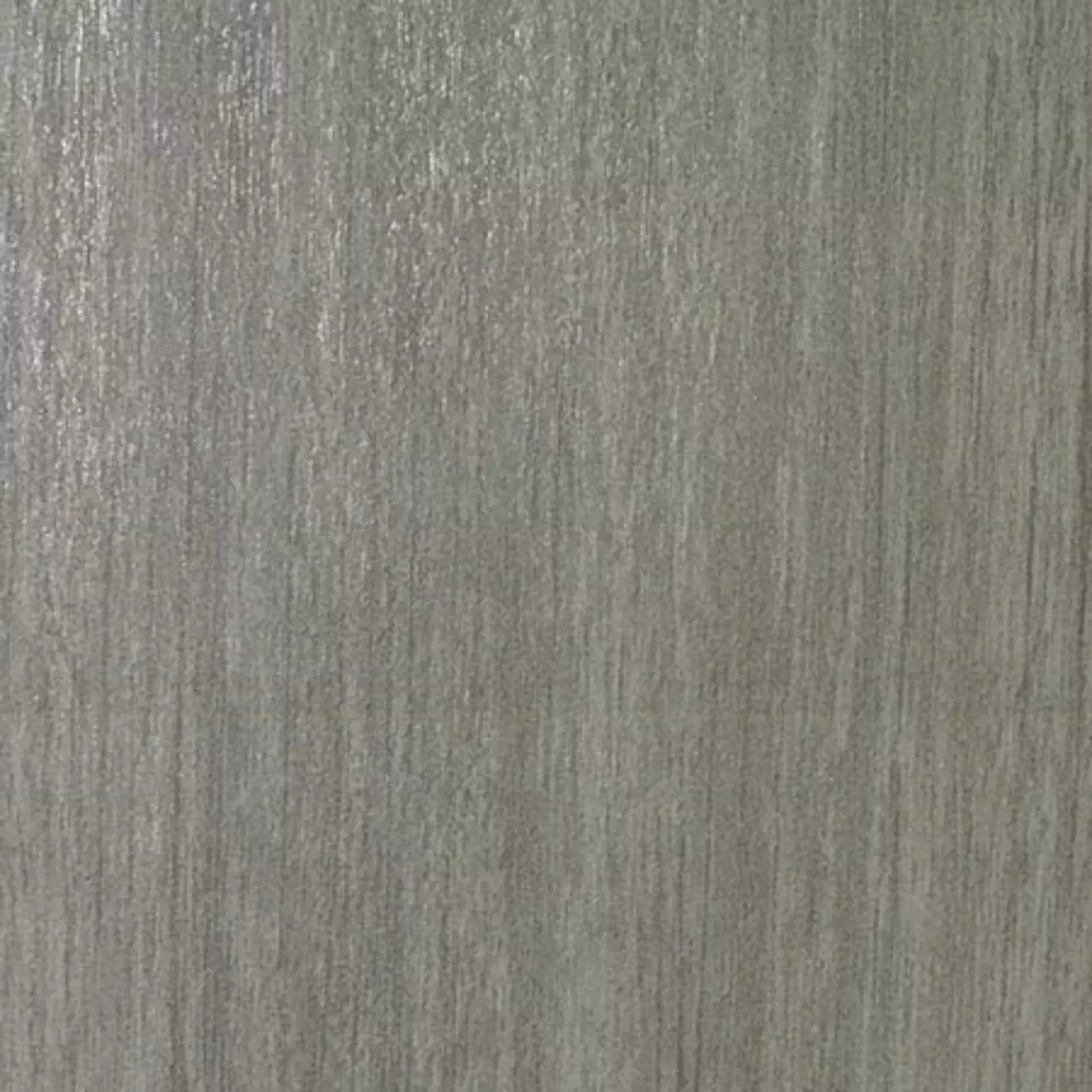 Casalgrande Metalwood Argento Naturale – Matt 7600195 60x60cm rectified 9mm