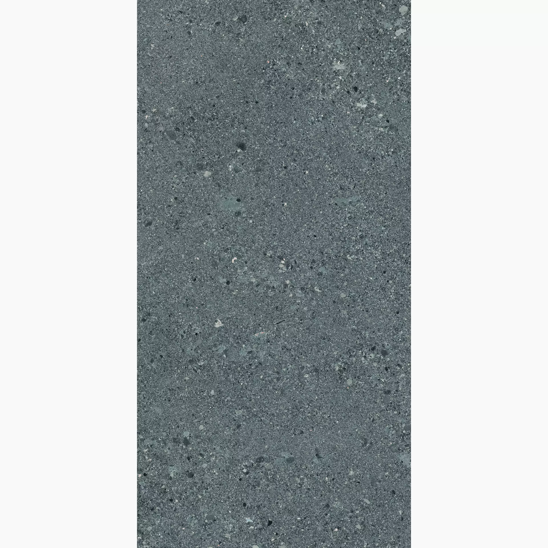 Ergon Grain Stone Rough Grain Dark Naturale E0CQ 30x60cm rectified 9,5mm