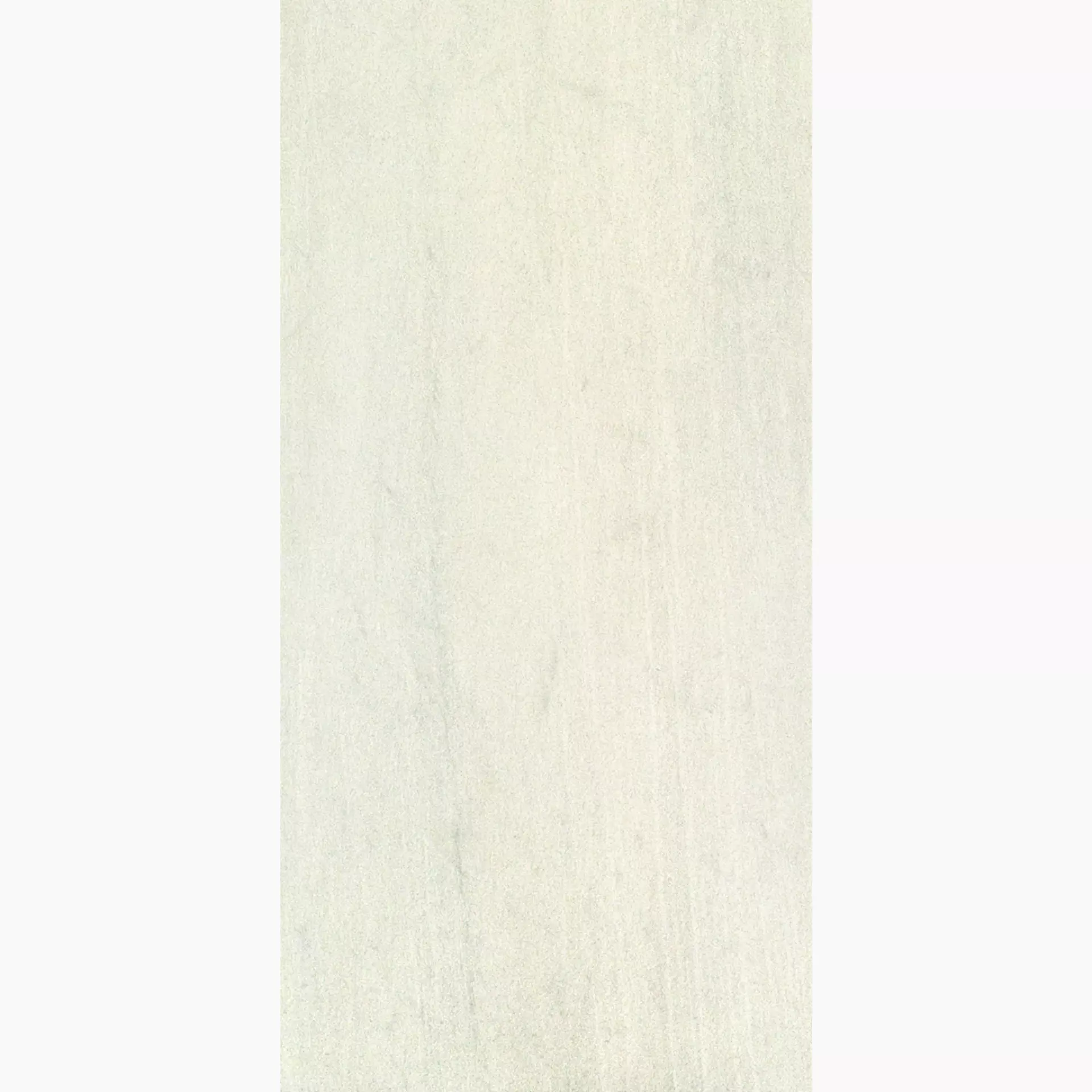 Ergon Stone Project White Naturale Falda E1DD 30x60cm rectified 9,5mm