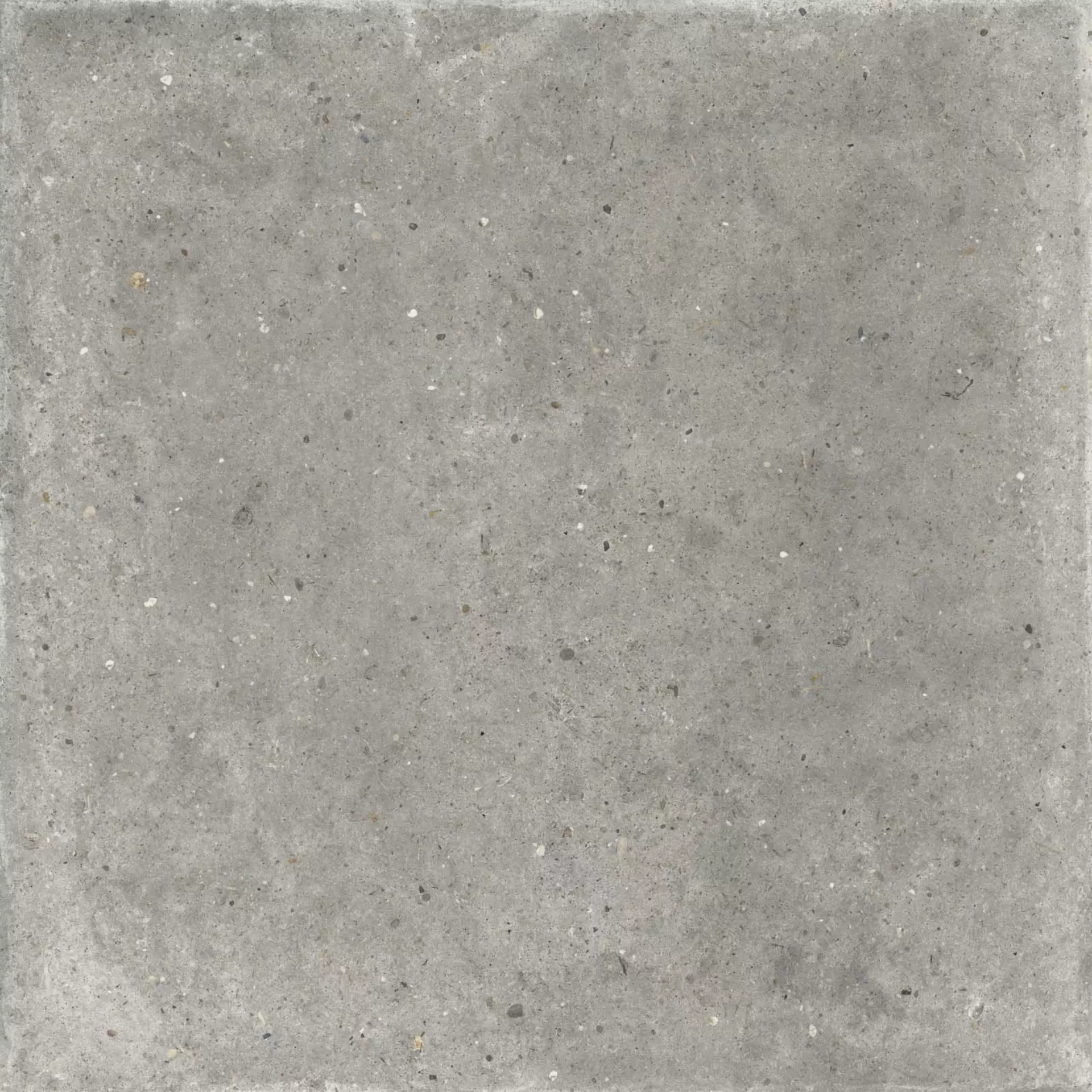 ABK Poetry Stone Pirenei Grey Naturale PF60010776 120x120cm rectified 8,5mm