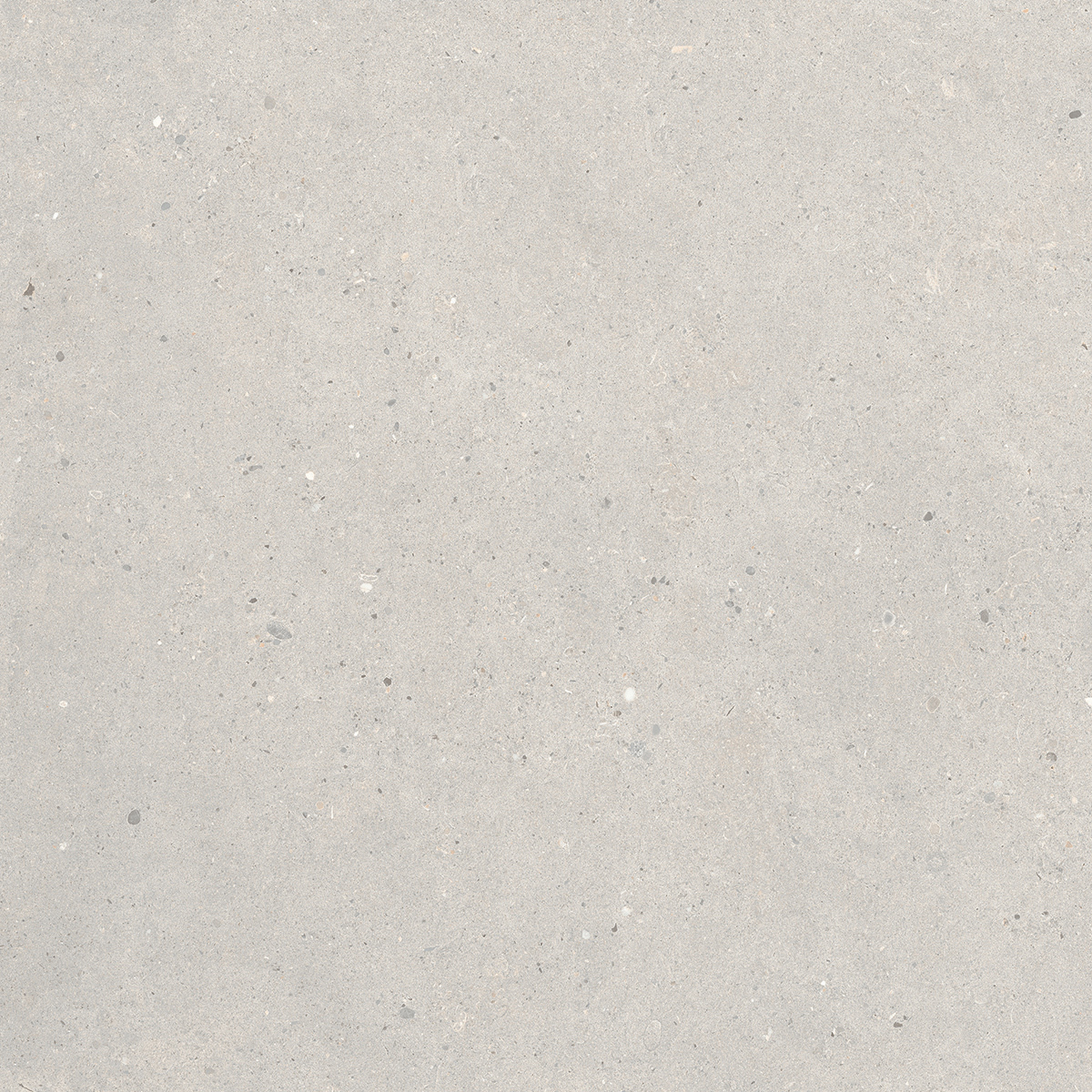 Bodenfliese,Wandfliese Italgraniti Silver Grain Grey Antislip Grey SI0368A rutschhemmend 60x60cm rektifiziert 9mm