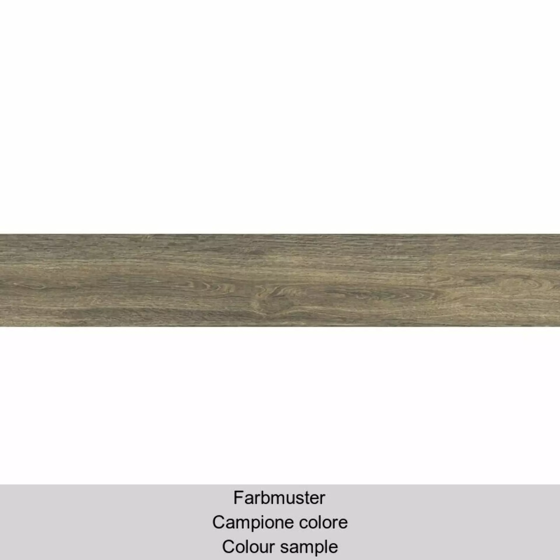 Casalgrande Planks Muschio Naturale – Matt Muschio 10330085 natur matt 20x120cm rektifiziert 6mm