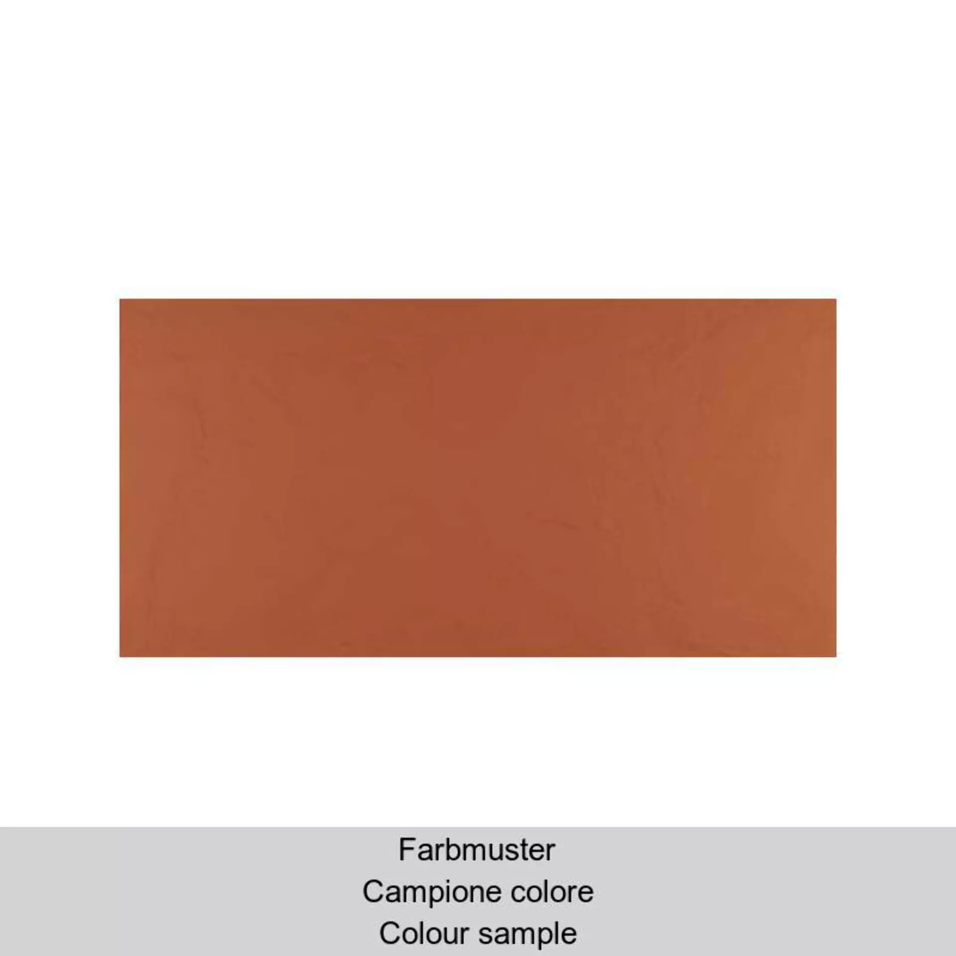 Refin Creos Coral Soft ND63 30x60cm rectified 9mm