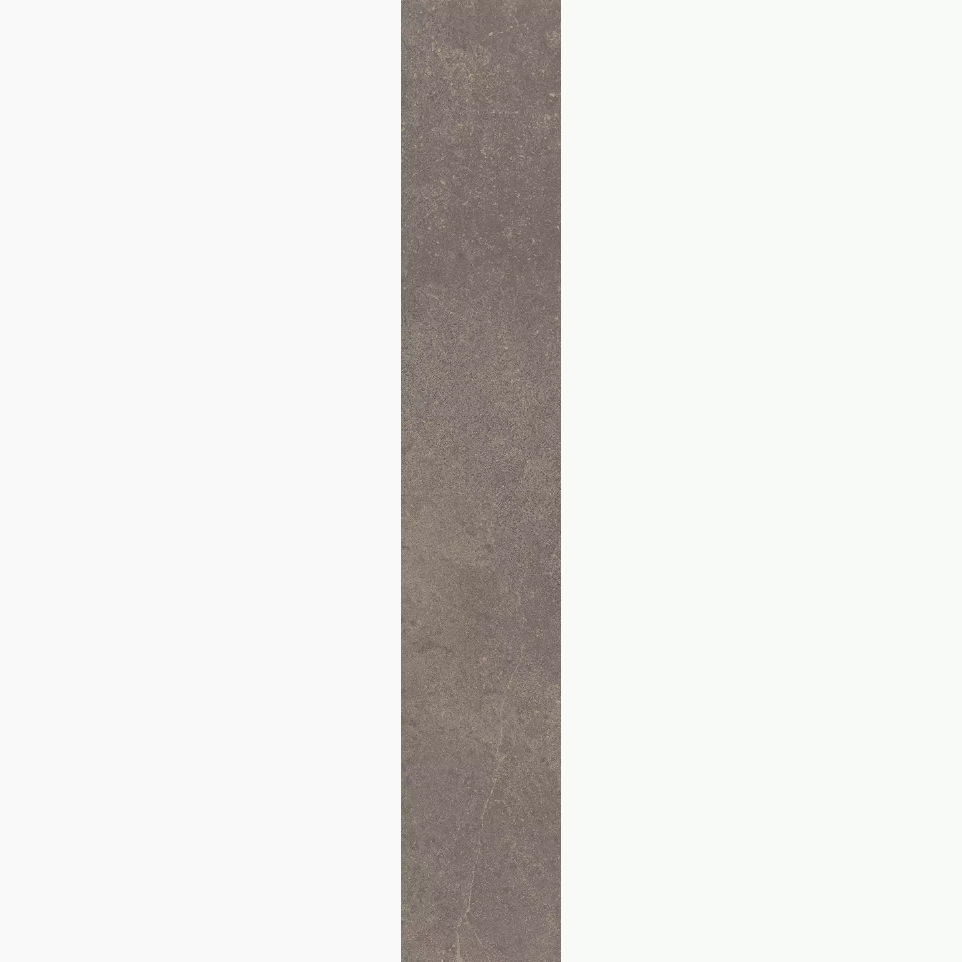 Fondovalle Planeto Mars Natural PNT279 20x120cm rectified 8,5mm