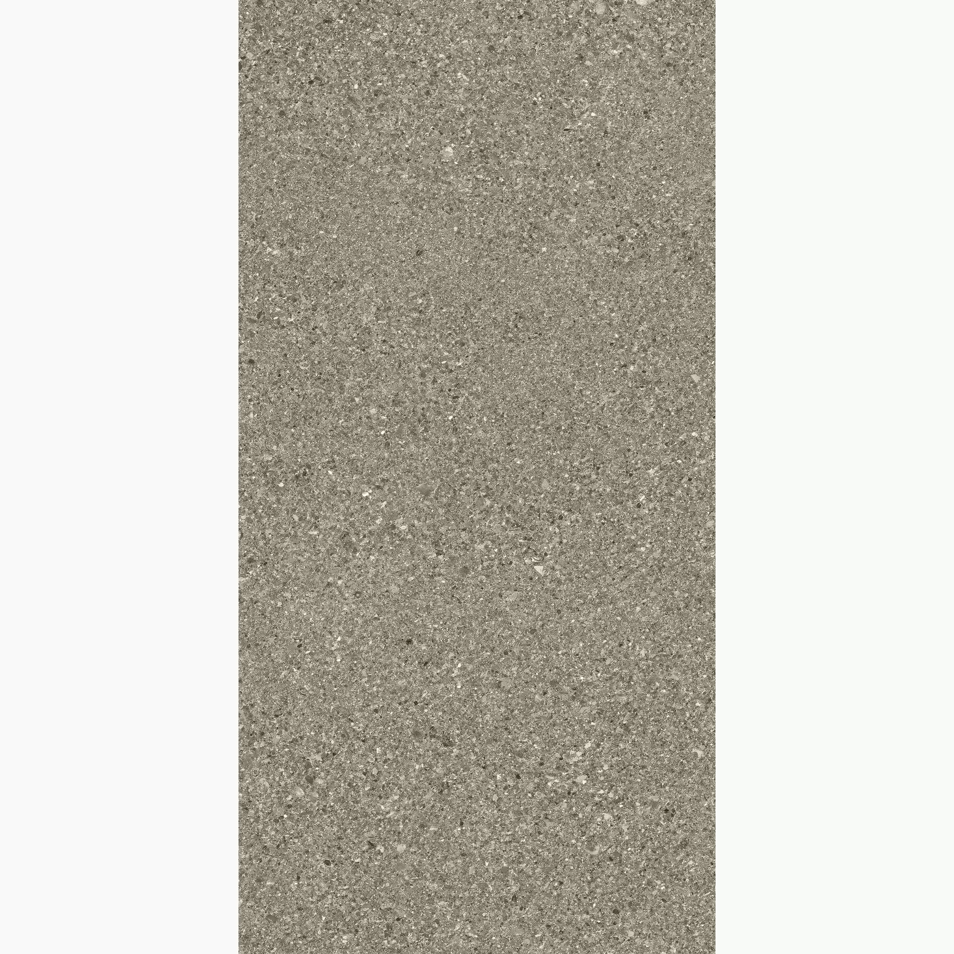 Ergon Grain Stone Fine Grain Taupe Naturale Fine Grain Taupe E09U natur 30x60cm rektifiziert 9,5mm