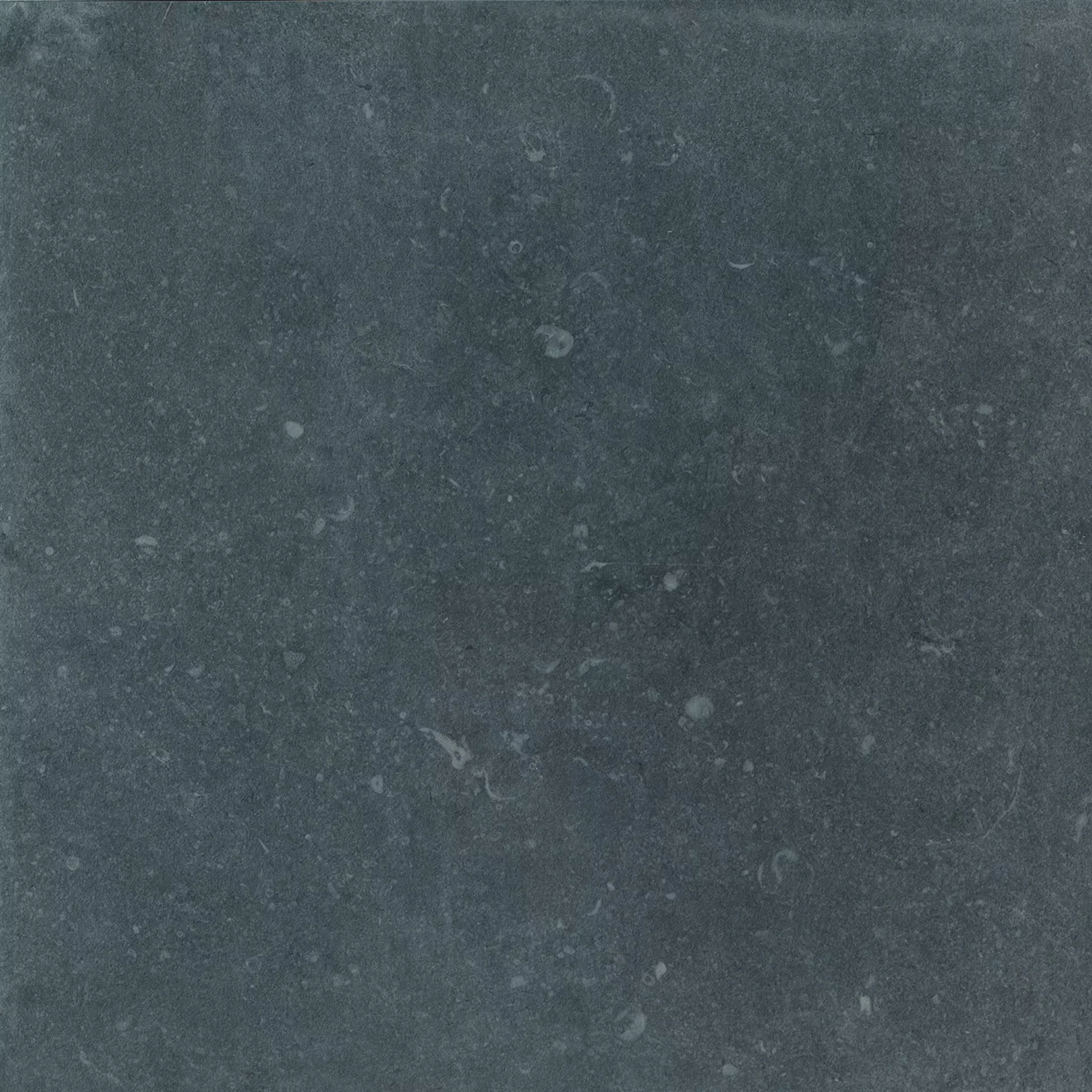 Cercom Stone Box Pietra Blu Naturale 1055150 60x60cm rectified 9,5mm