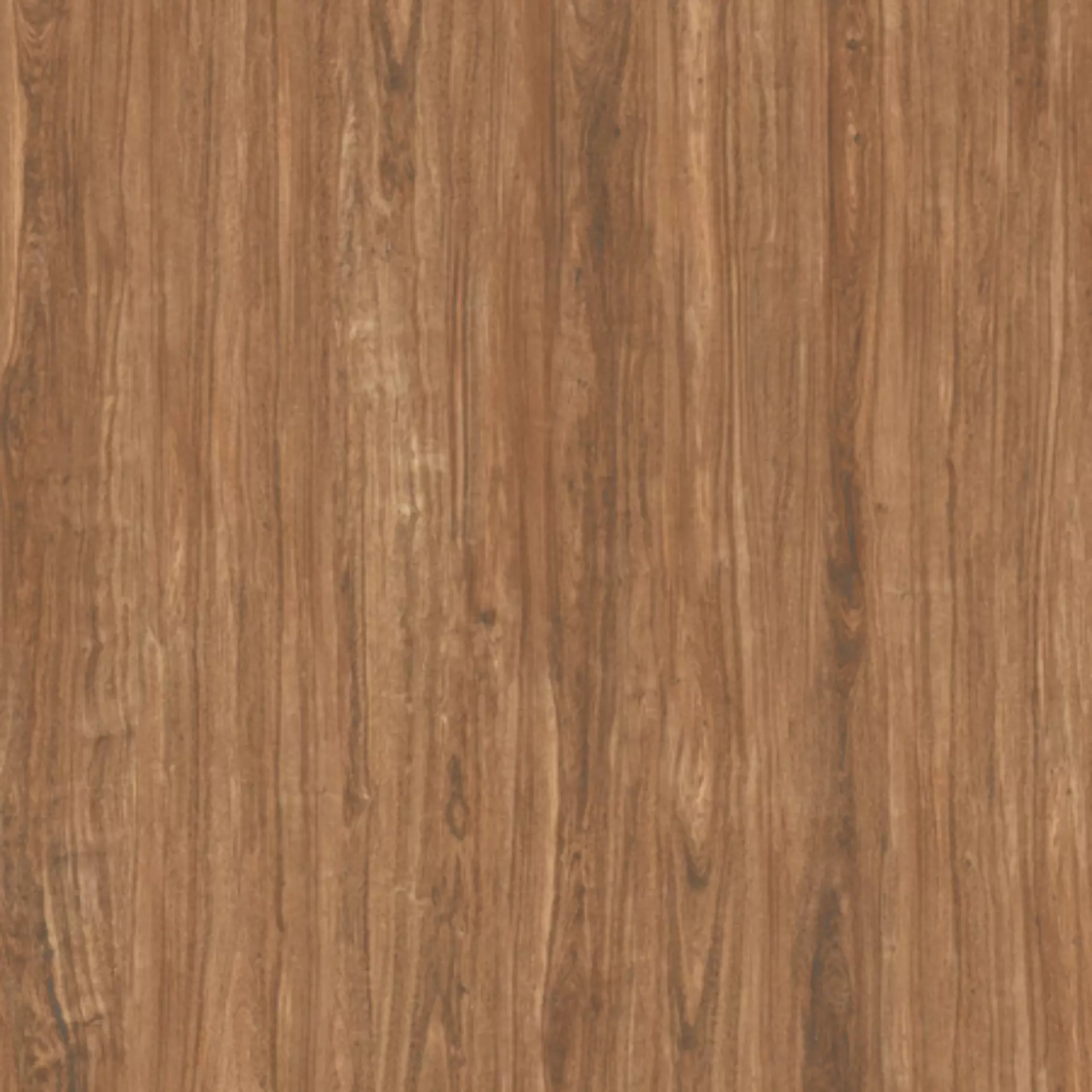 Casalgrande Geowood Koa Naturale – Matt Koa 10630075 natur matt 22,5x180cm rektifiziert 10mm
