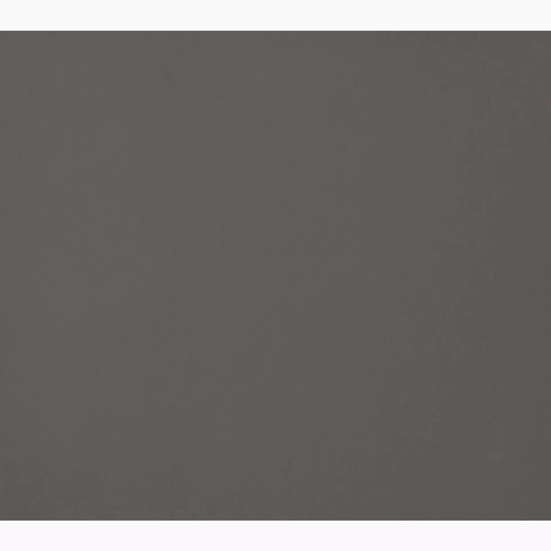 Casalgrande Architecture Light Brown Naturale – Matt 4700150 30x30cm rectified 9,4mm