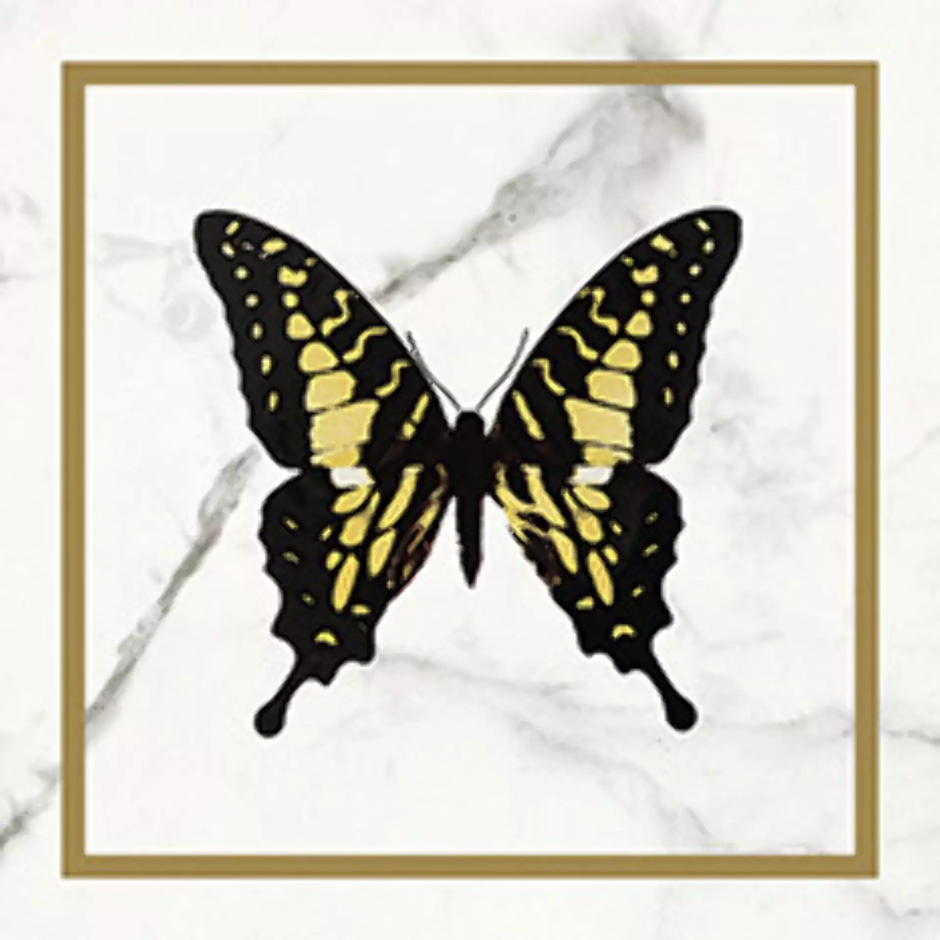 Wandfliese Villeroy & Boch Victorian White - Gold Glossy White - Gold 1222-MK0E glaenzend 20x20cm Dekor Butterfly rektifiziert 10mm