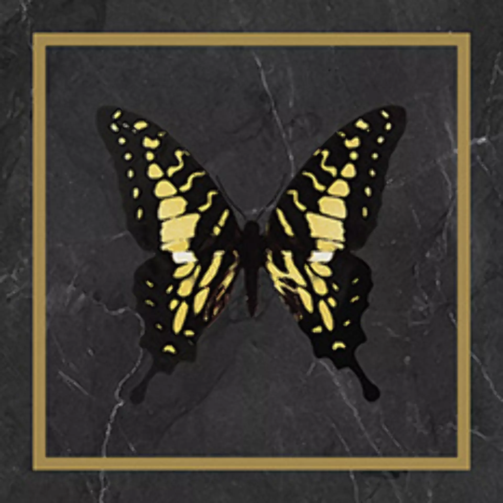 Wandfliese Villeroy & Boch Victorian Black - Gold Glossy Black - Gold 1222-MK9E glaenzend 20x20cm Dekor Butterfly rektifiziert 10mm