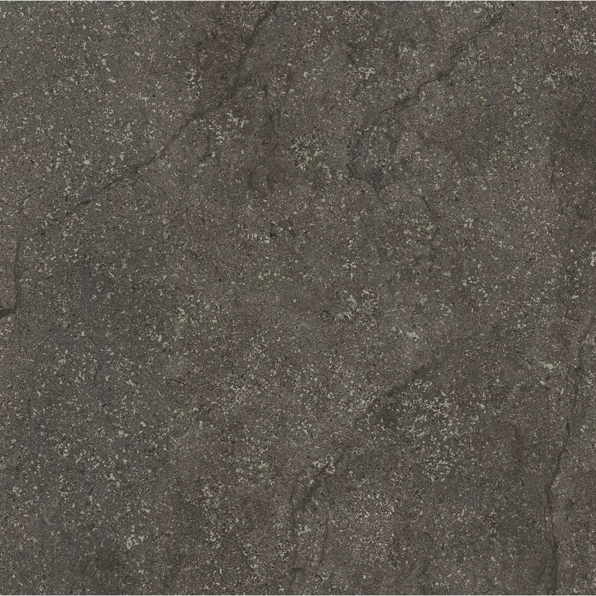 Florim Stone Life Graphit Naturale – Matt Graphit 778702 matt natur 60x60cm rektifiziert 9mm