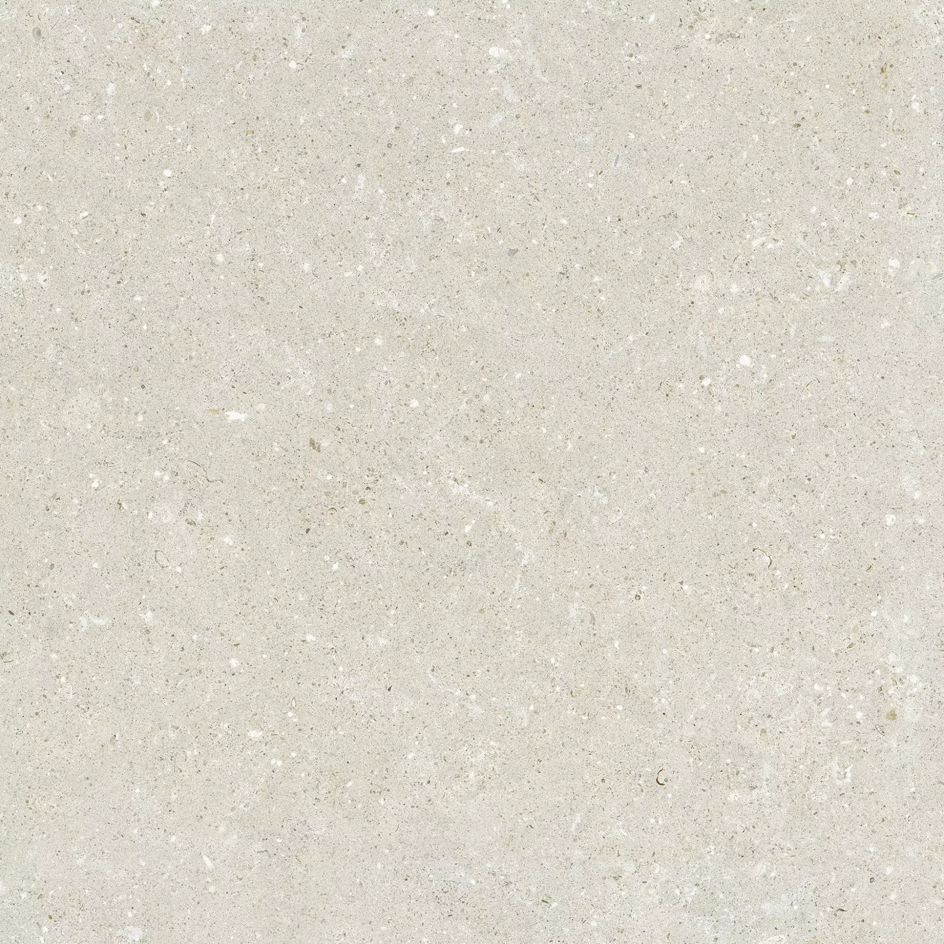 Del Conca Hwd Wild White Hwd Naturale G9WD10R 60x60cm rectified 8,5mm