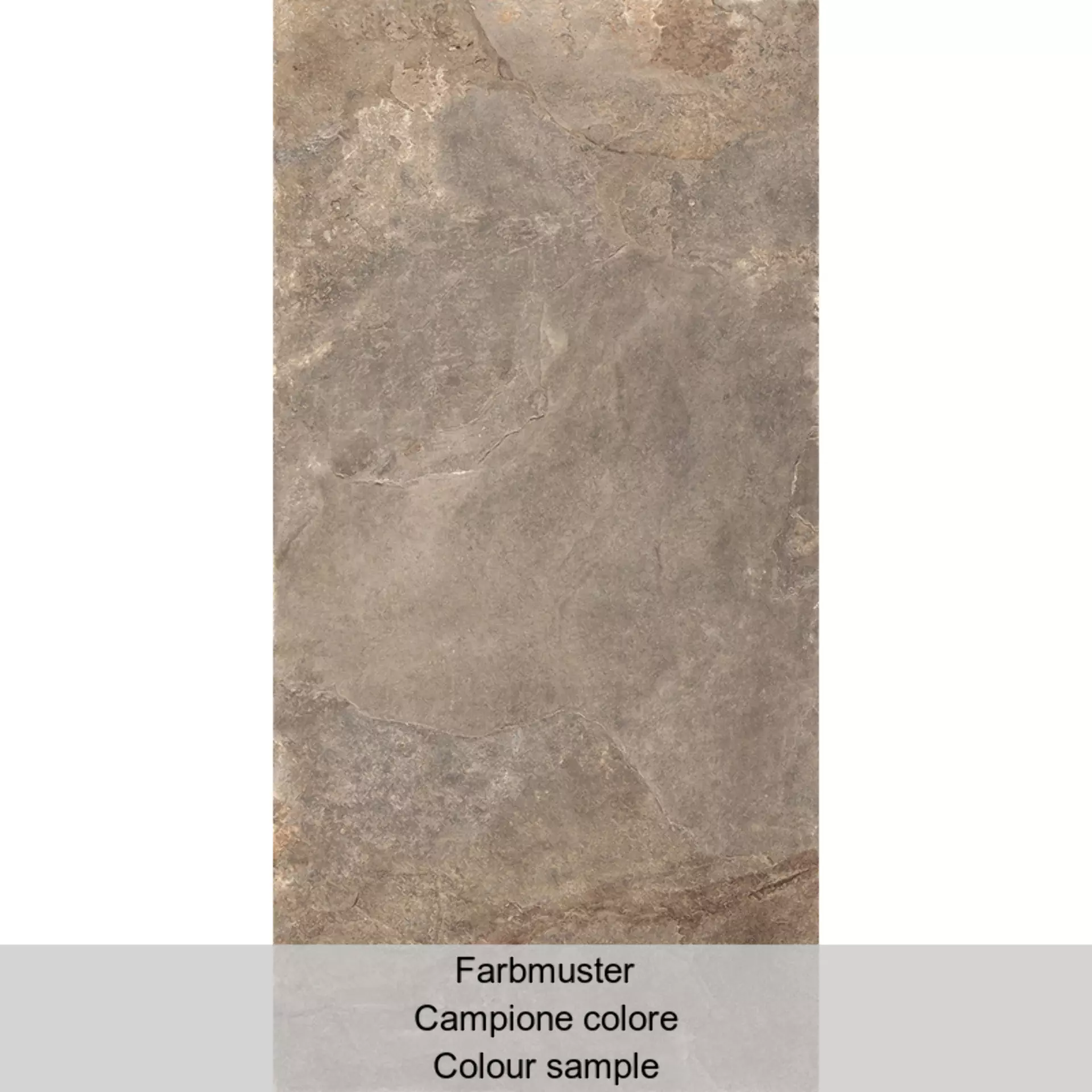 Rondine Ardesie Taupe Lappato J87197 30x60cm rectified 9,5mm