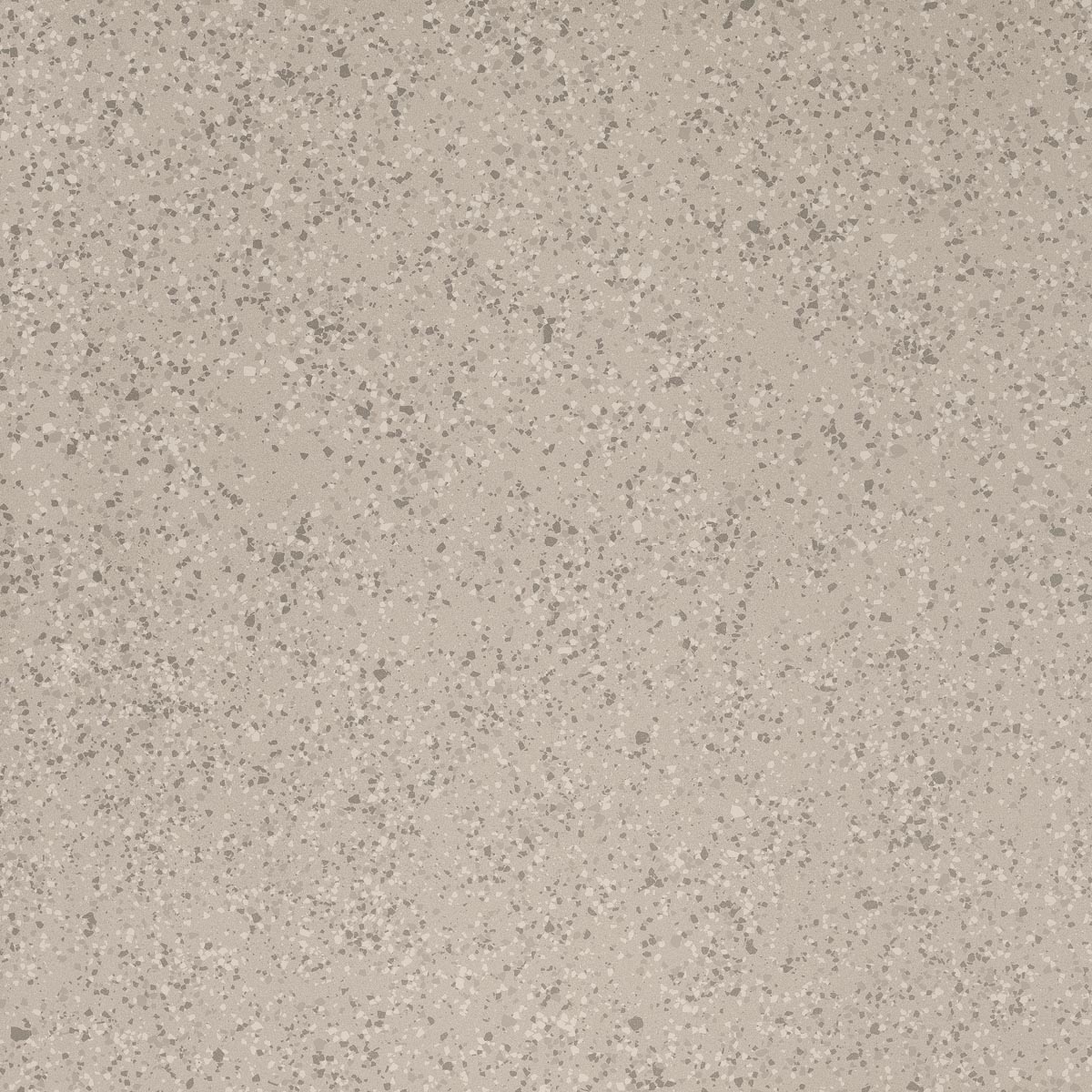 Imola Parade Argento Natural Flat Matt Outdoor 166101 120x120cm rectified 10,5mm - PRDE RB120AG RM