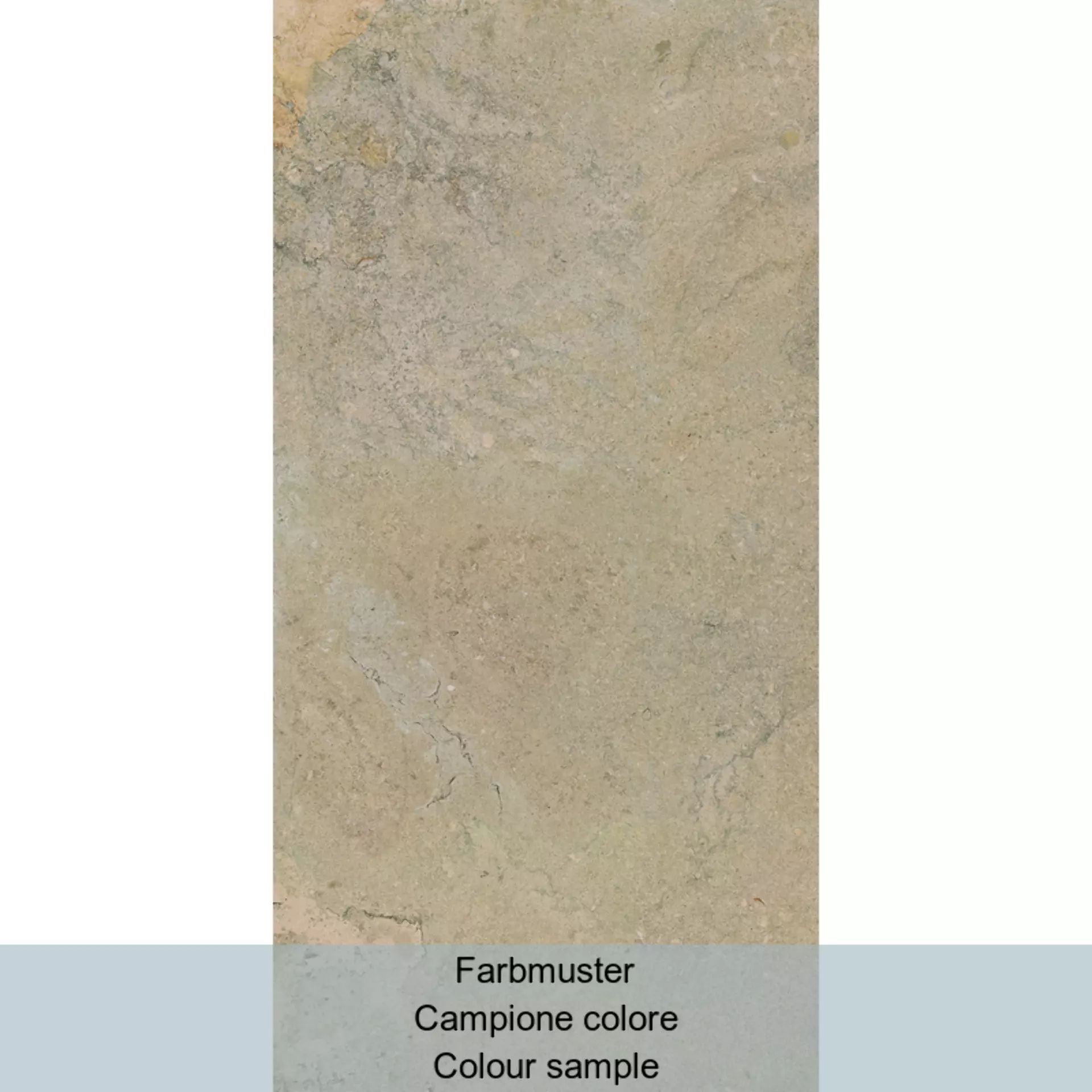 Casalgrande Chalon Beige Naturale – Matt 1790006 30x60cm rectified 10mm