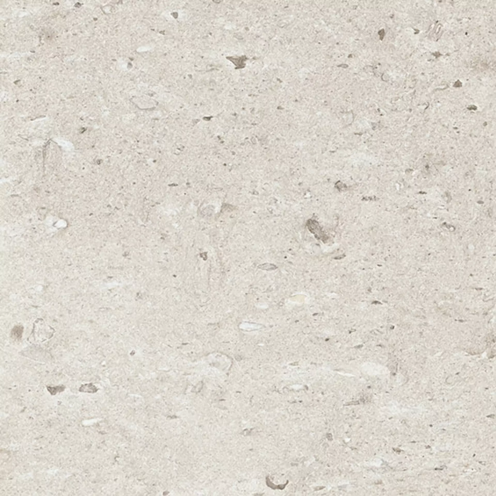 Coem Moon Stone White Lucidato White CK601LR poliert 60x60cm rektifiziert 10mm