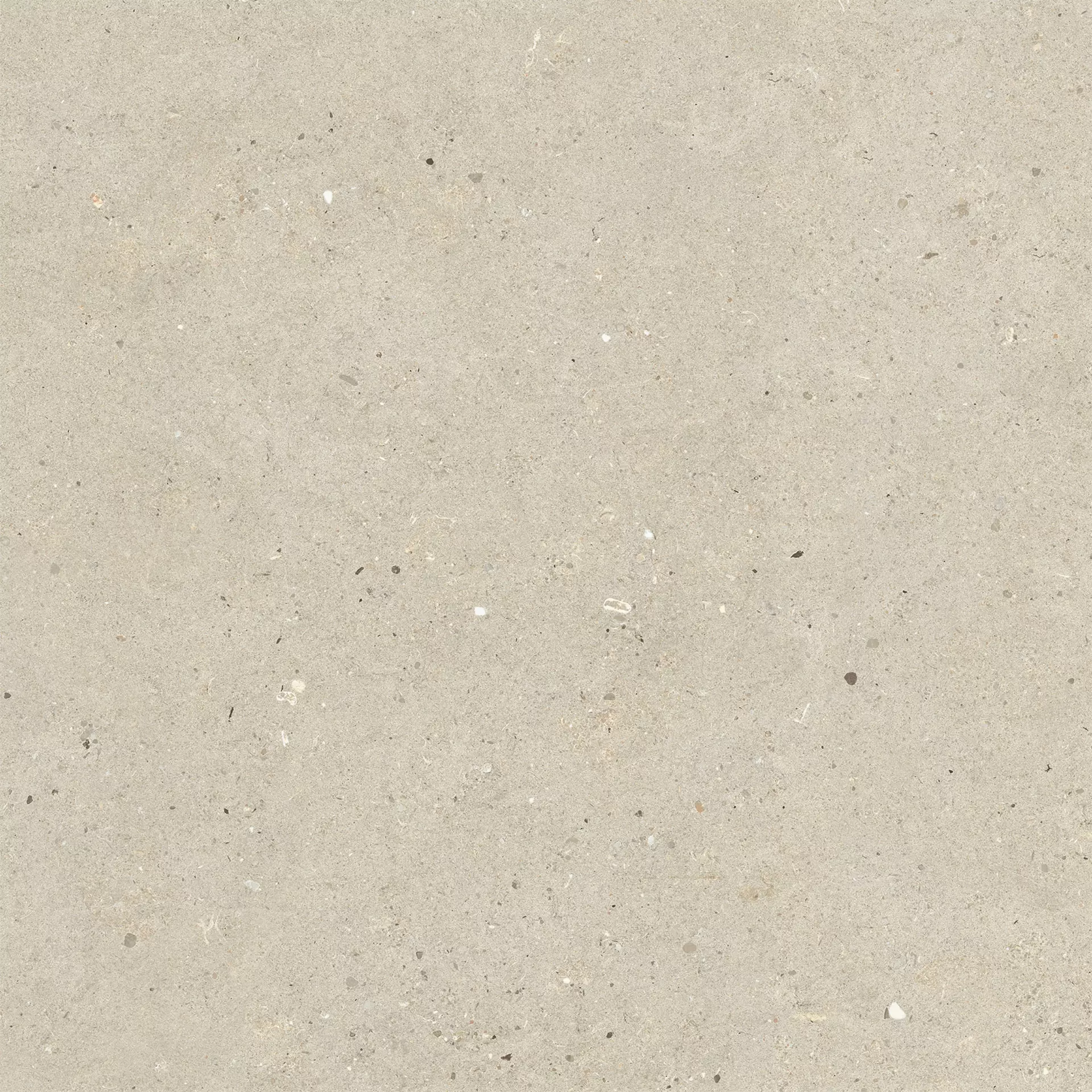 Italgraniti Silver Grain Beige Naturale – Matt SI0288 80x80cm rectified