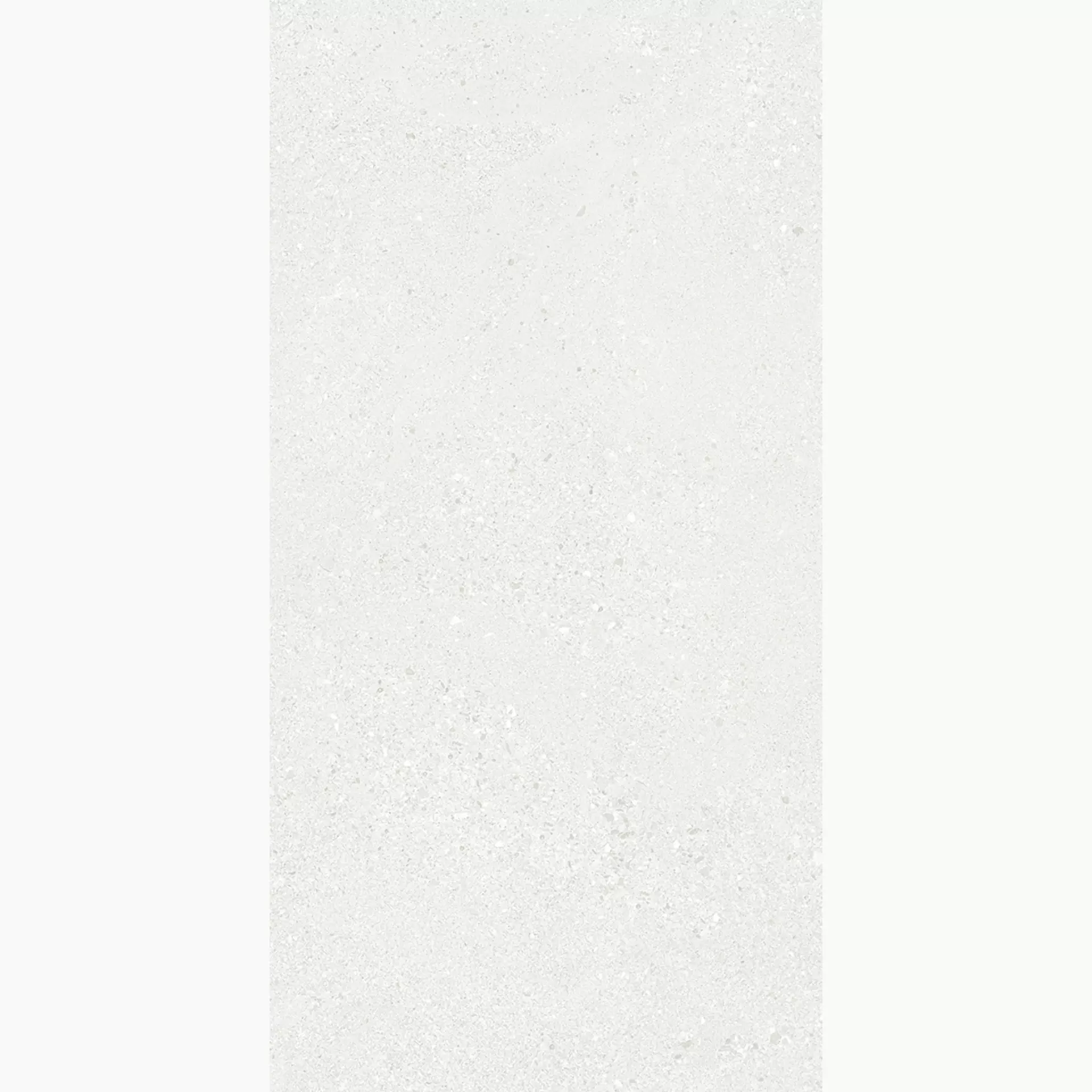 Ergon Grain Stone Rough Grain White Naturale E0AV 60x120cm rectified 9,5mm