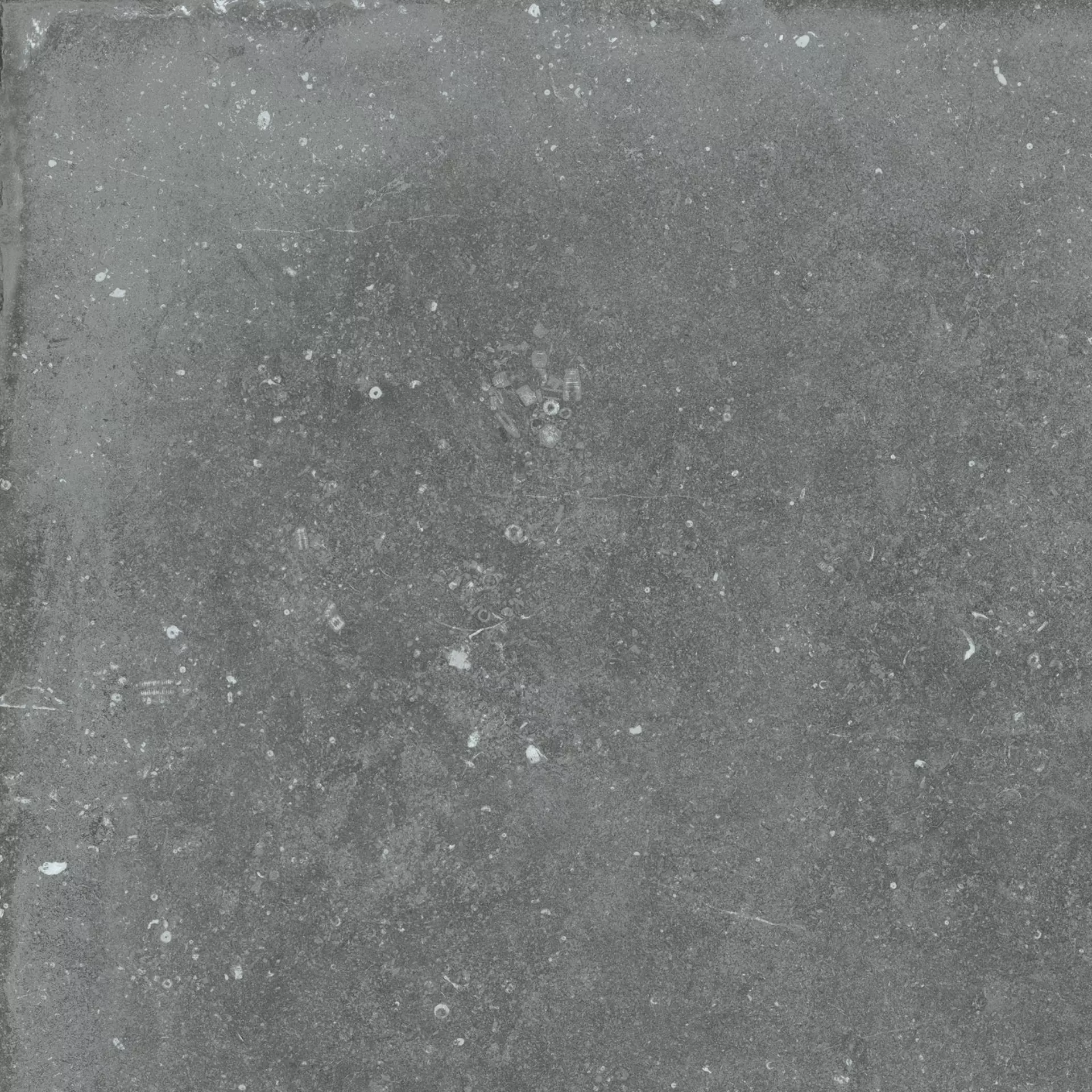 Flaviker Nordik Stone Grey Grip Grey PF60004895 grip 60x60cm rektifiziert 8,5mm