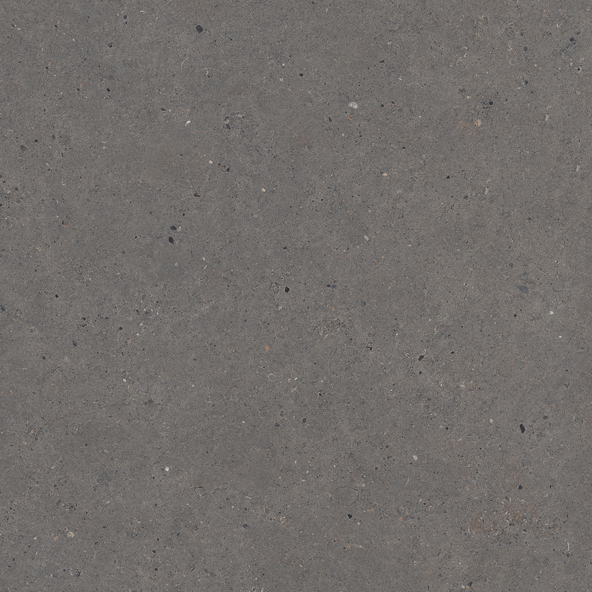 Bodenfliese,Wandfliese Italgraniti Silver Grain Dark Antislip Dark SI0568A rutschhemmend 60x60cm rektifiziert 9mm