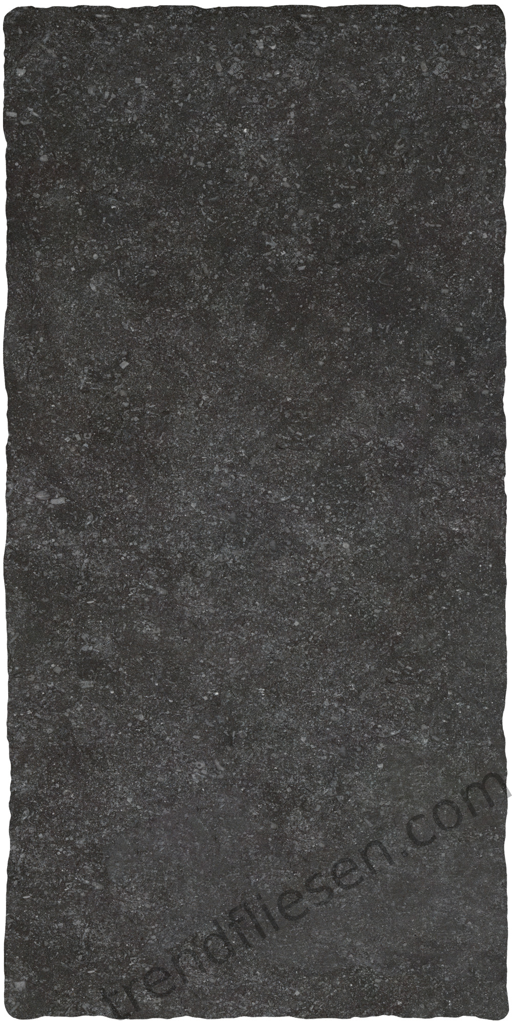 Stone Gres Anticato Belgisch Granit 900274 natur 40x80cm 20mm