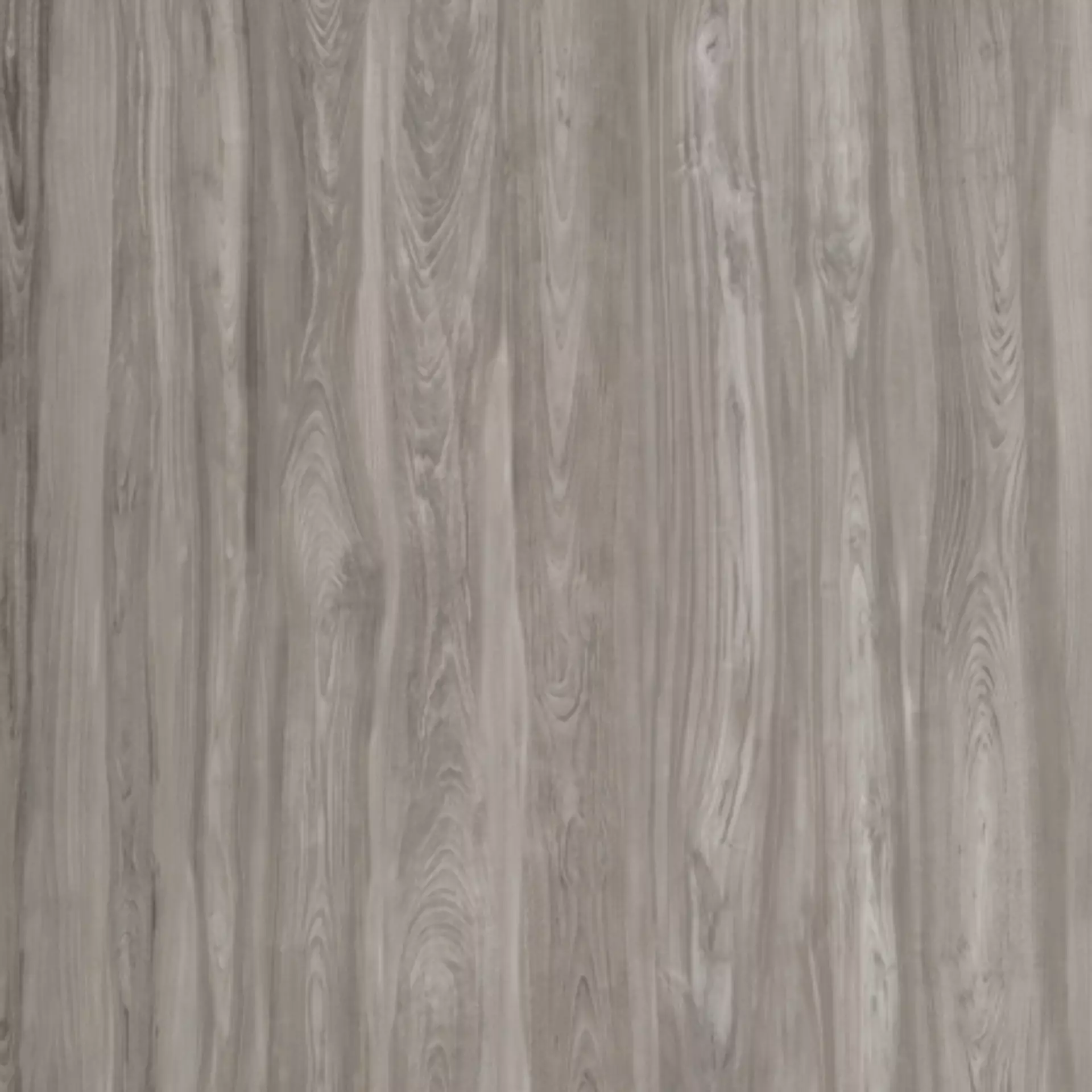 Casalgrande Class Wood Grey Naturale – Matt Grey 10460267 natur matt 60x120cm rektifiziert 9mm