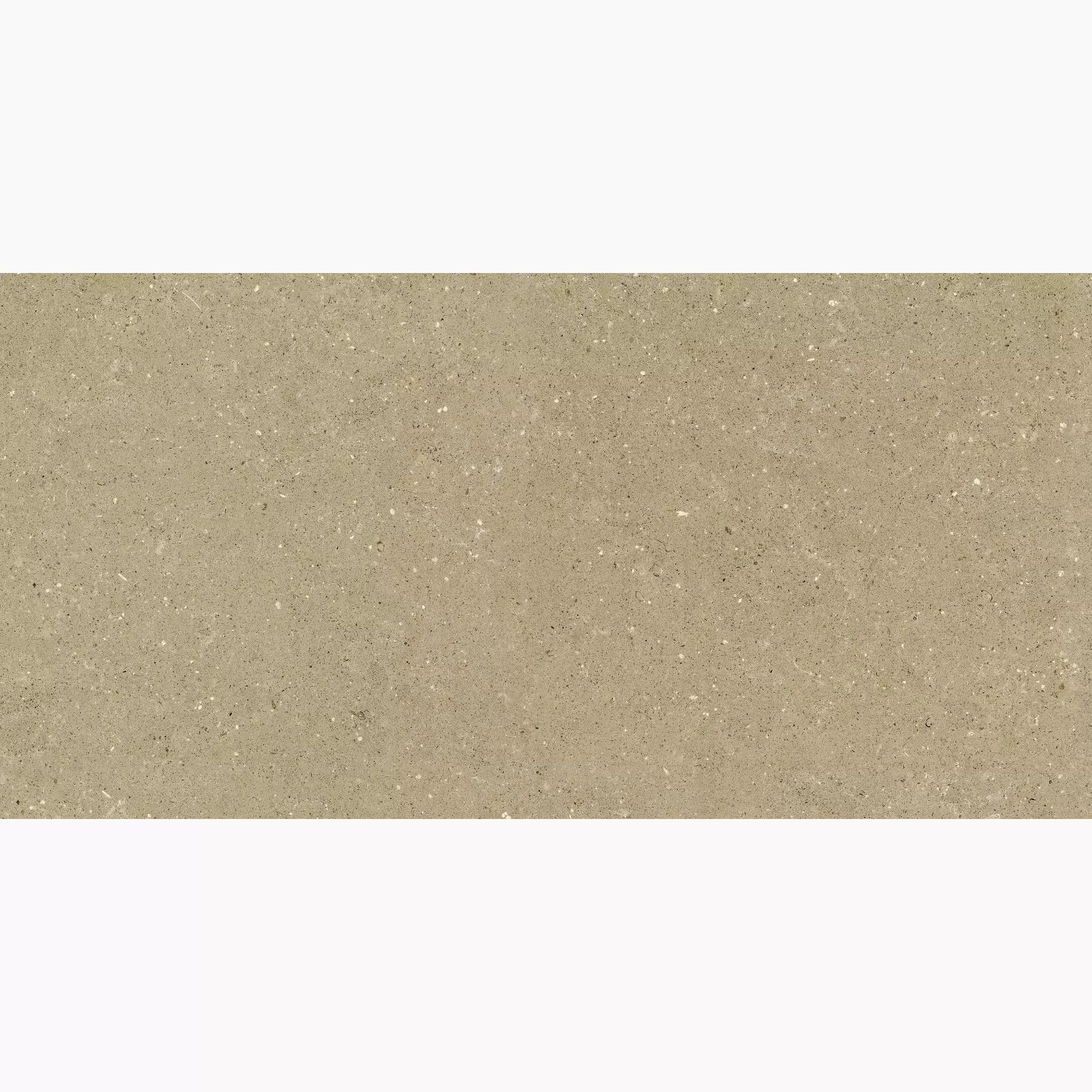 Del Conca Hwd Wild Beige Hwd Naturale Universal GCWD01MO 60x120cm rectified 8,5mm