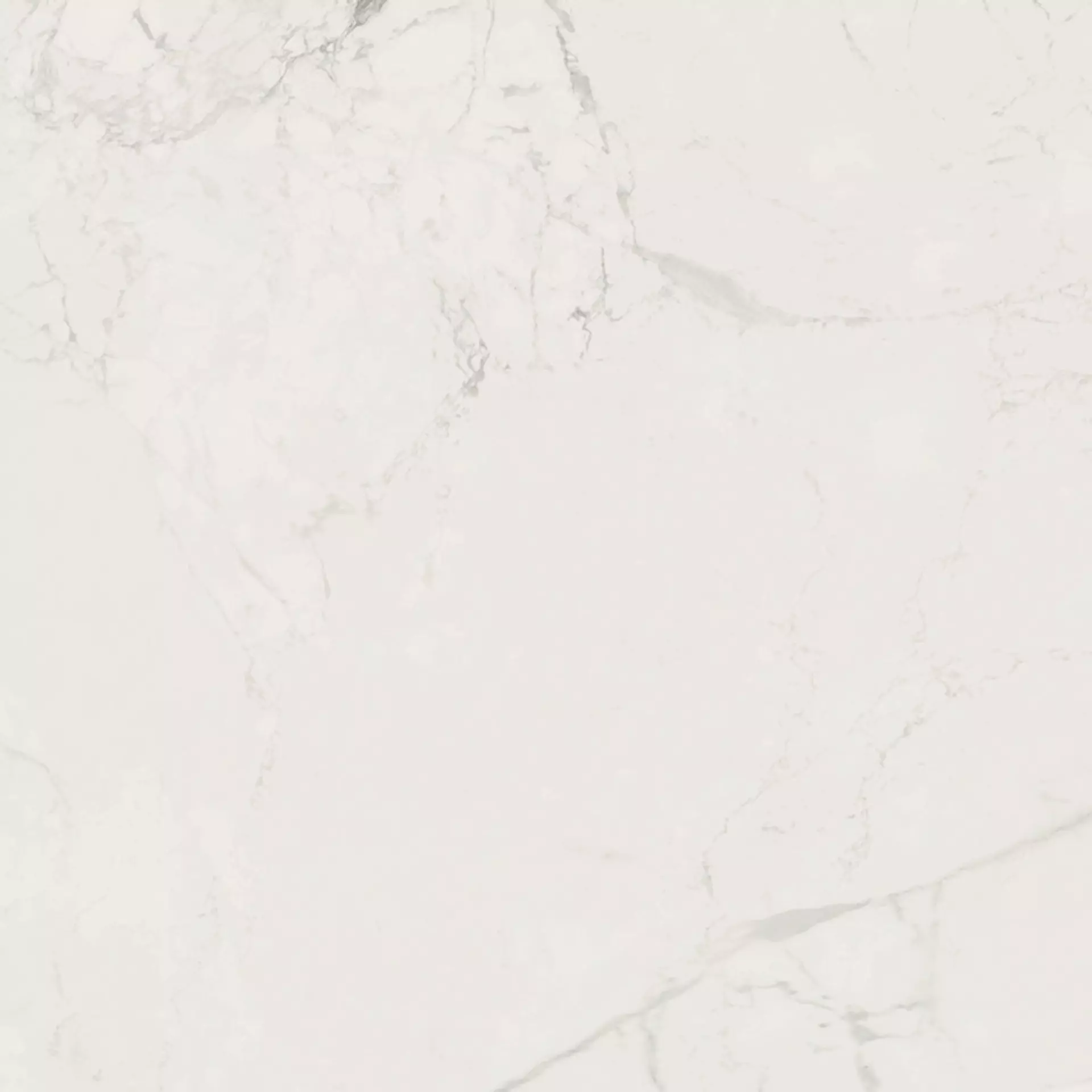 Wandfliese,Bodenfliese Villeroy & Boch Victorian White Polished White 2660-MK1P poliert 60x60cm rektifiziert 9mm
