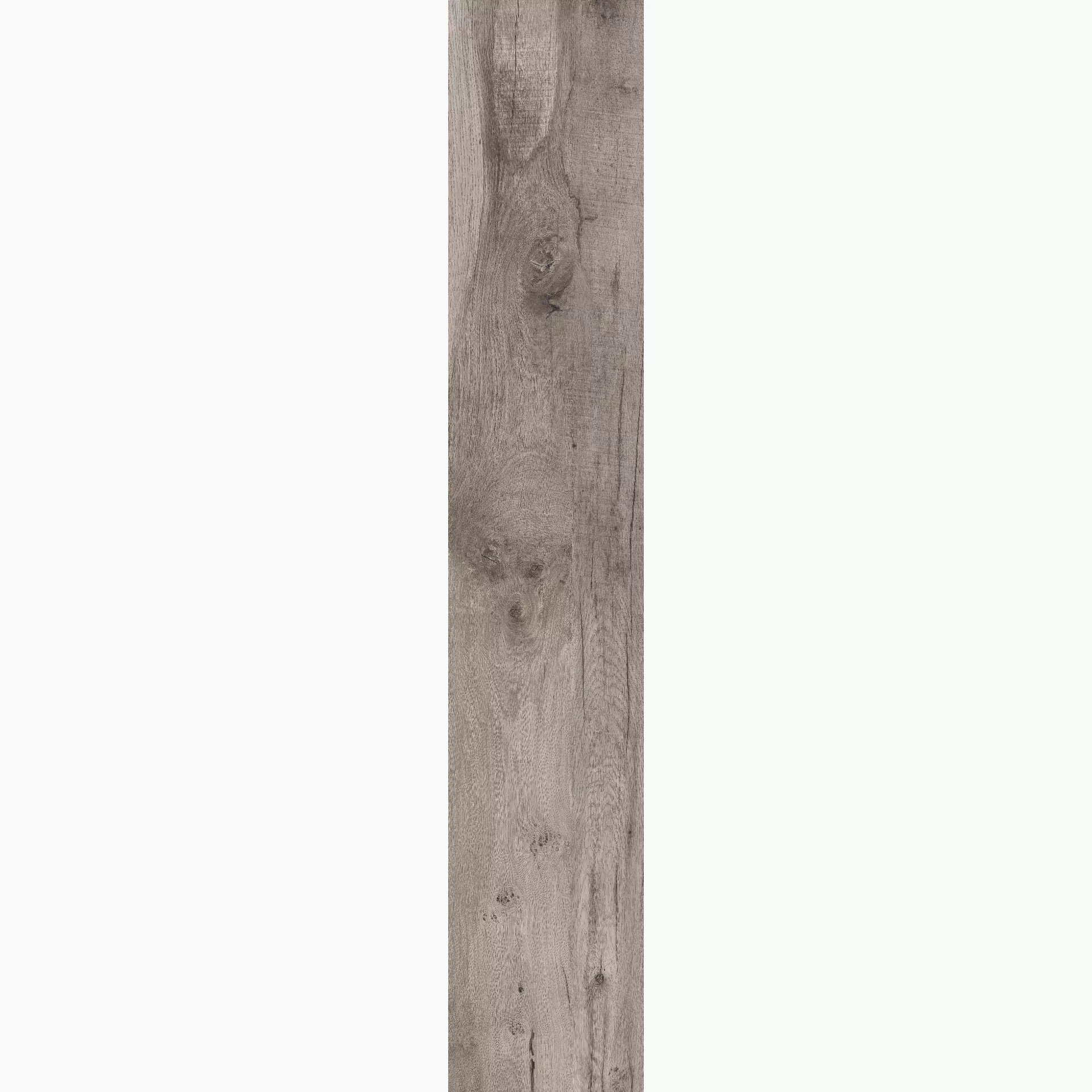 ABK Dolphin Grey Naturale DPR35250 20x120cm rektifiziert 8,5mm