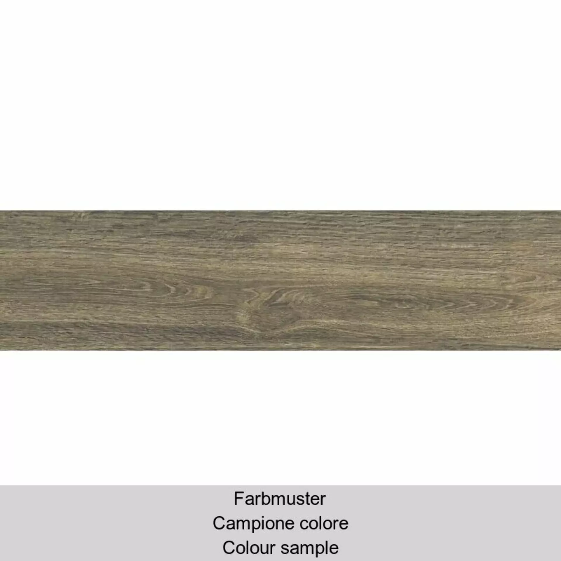 Casalgrande Planks Muschio Naturale – Matt 10340085 30x120cm rectified 6mm