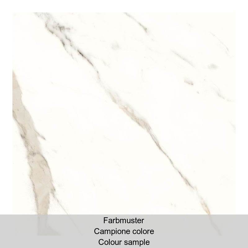 Panaria Trilogy Calacatta White Antibacterial - Lux PGWTY60 60x60cm rectified 9,5mm