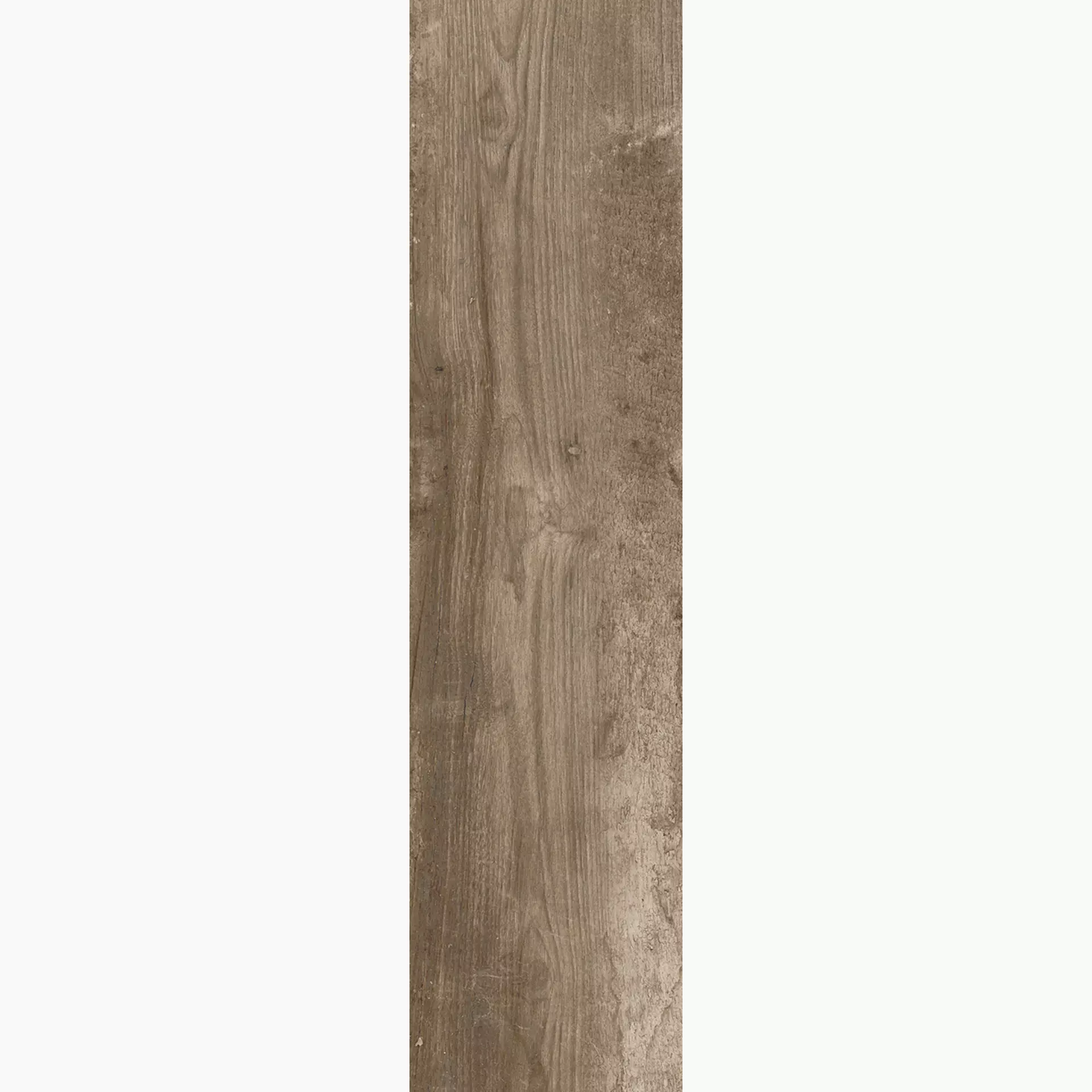 Rondine Living Marrone Naturale J86153 15x61cm 9mm
