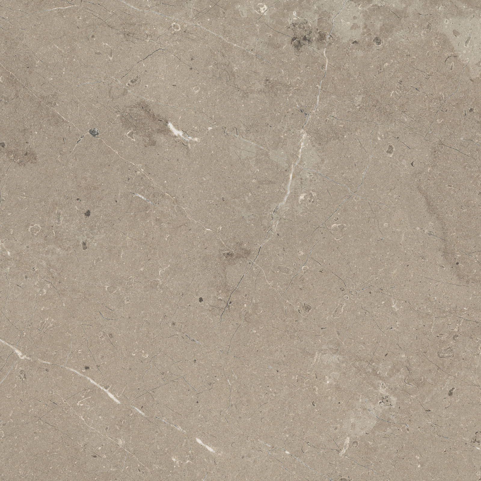 Bodenfliese,Wandfliese Marazzi Mystone Limestone Taupe Naturale – Matt Taupe M7E9 matt natur 60x60cm rektifiziert 10mm