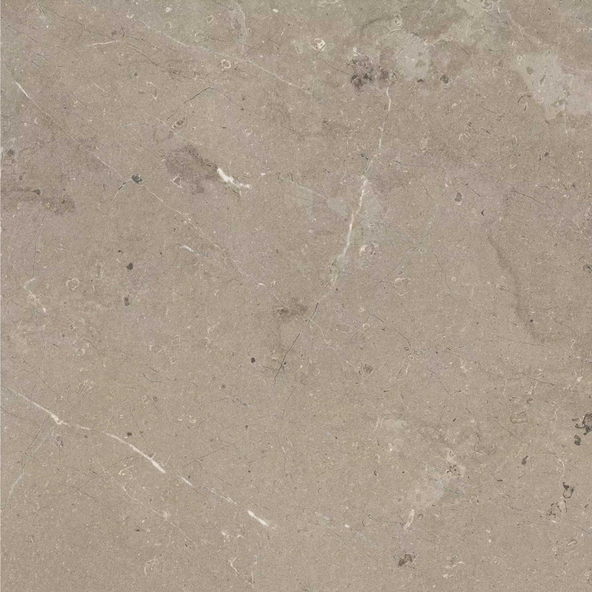 Bodenfliese,Wandfliese Marazzi Mystone Limestone Taupe Naturale – Matt Taupe M7E5 matt natur 75x75cm rektifiziert 9,5mm