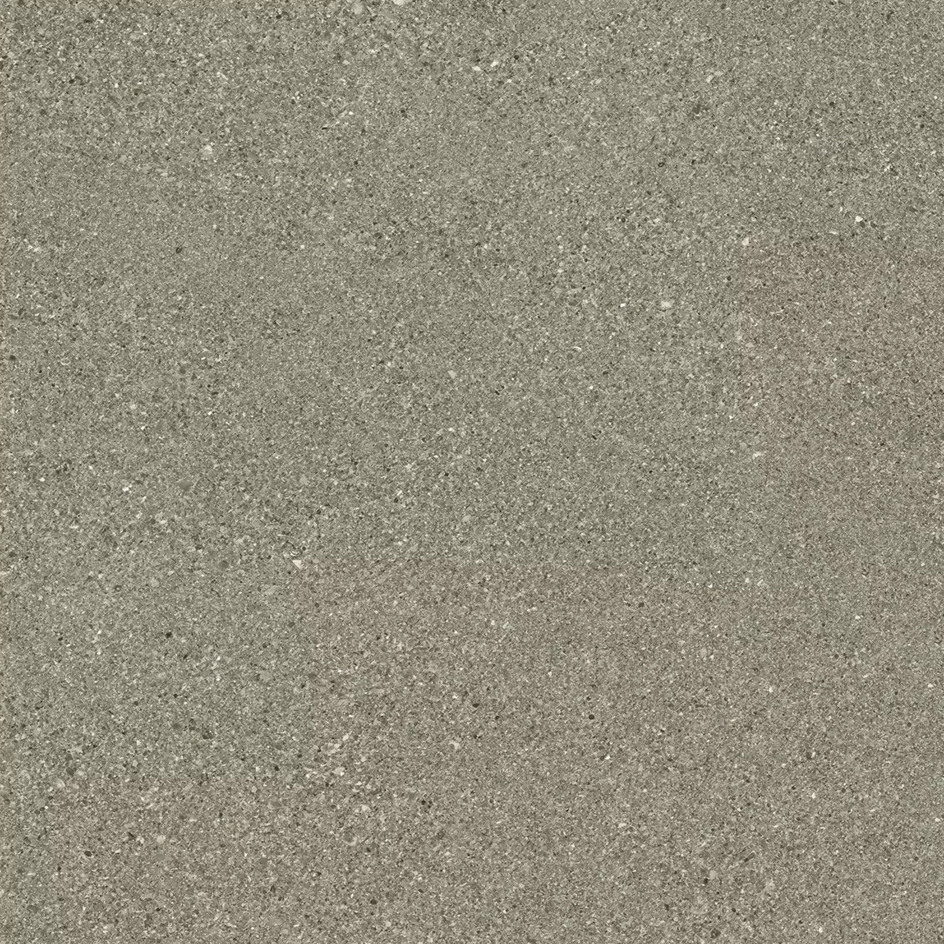 Ergon Grain Stone Fine Grain Taupe Naturale E09N 60x60cm rectified 9,5mm