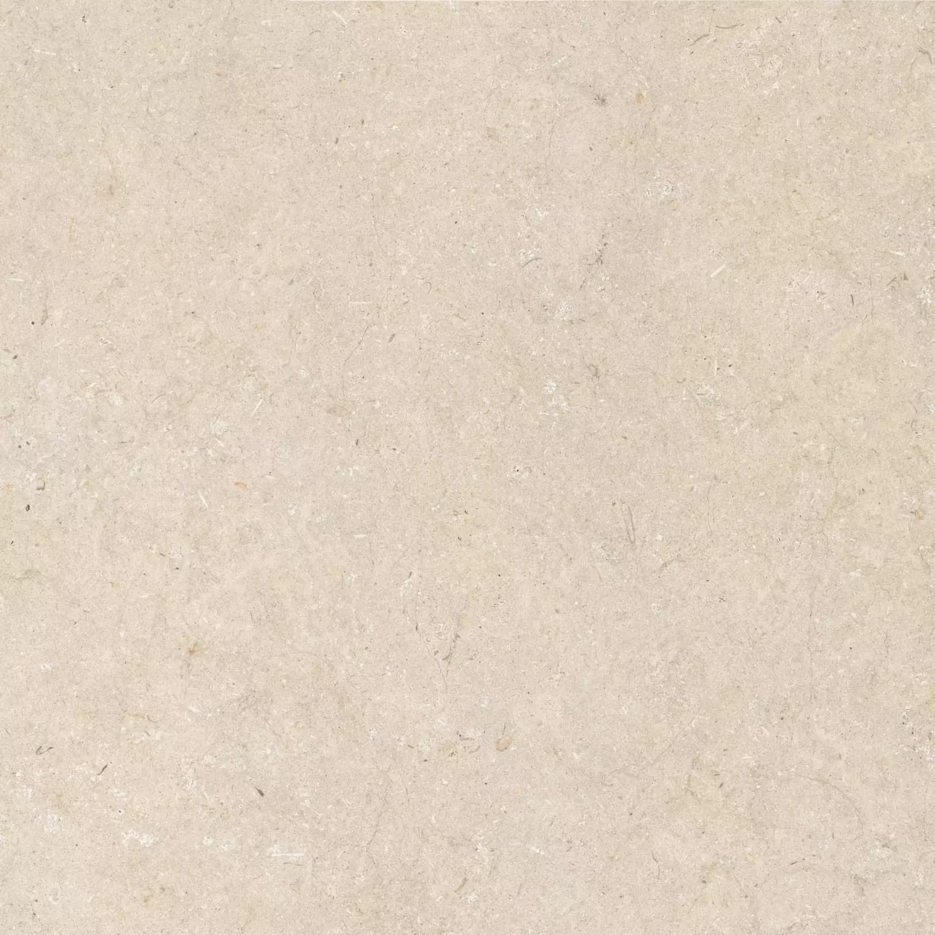 ABK Poetry Stone Trani Beige Naturale PF60010536 120x120cm rectified 8,5mm