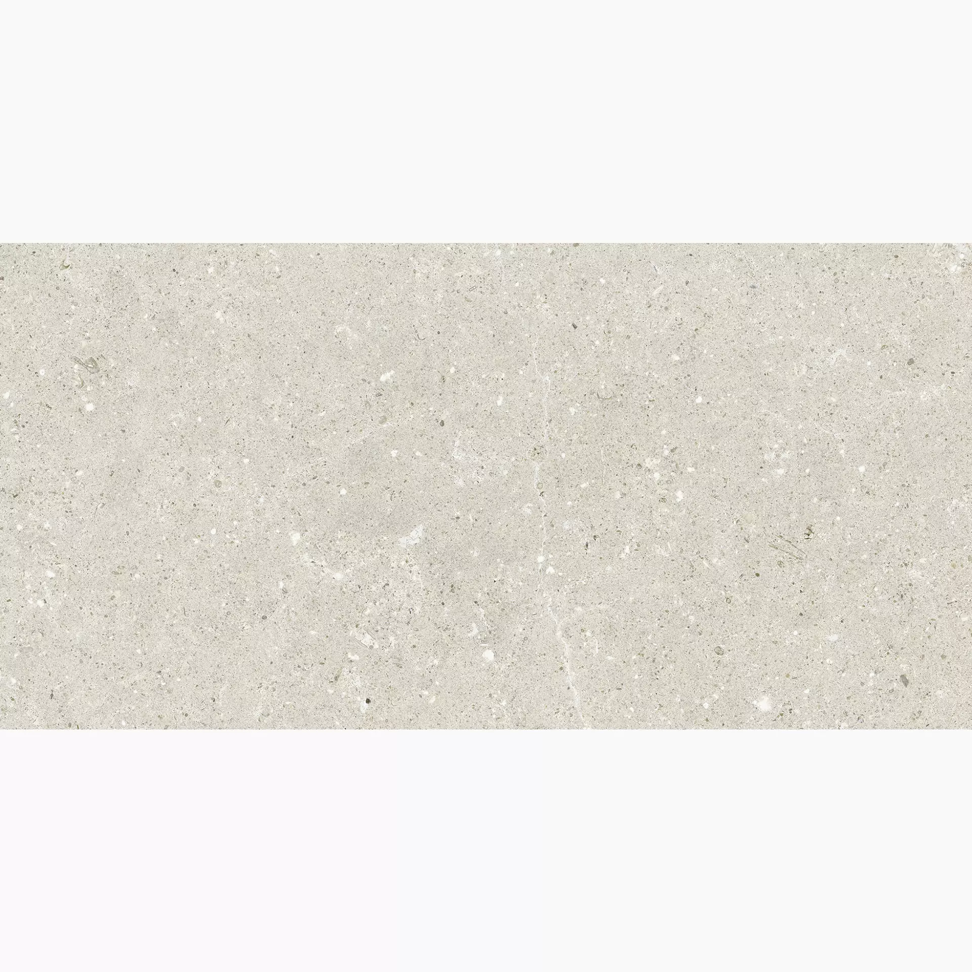 Del Conca Hwd Wild White Hwd Naturale GRWD10R 120x120cm rectified 8,5mm