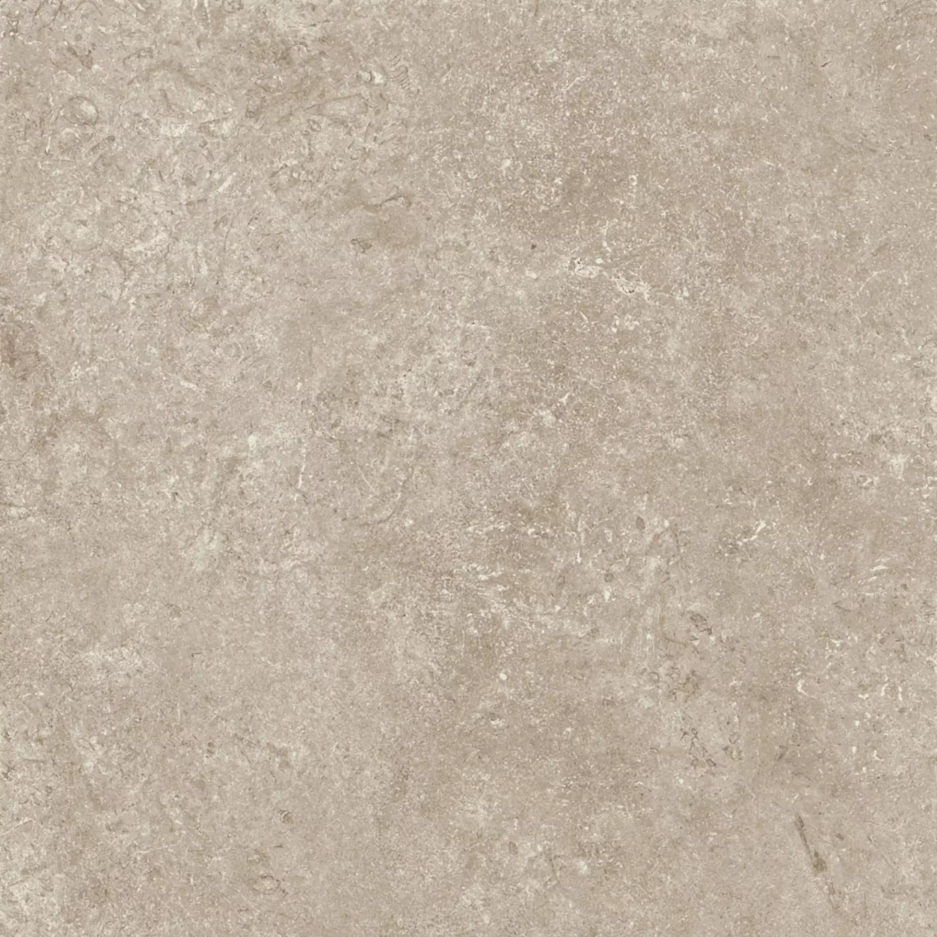 Cottodeste Secret Stone Shadow Grey Honed Protect EGWSSX3 60x60cm rectified 14mm