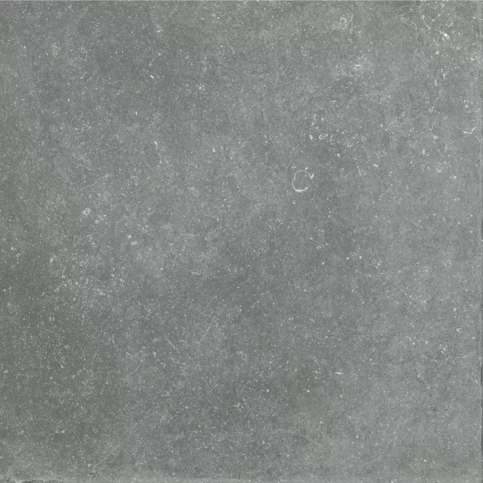 Flaviker Nordik Stone Grey Naturale Grey PF60005057 natur 90x90cm rektifiziert 8,5mm