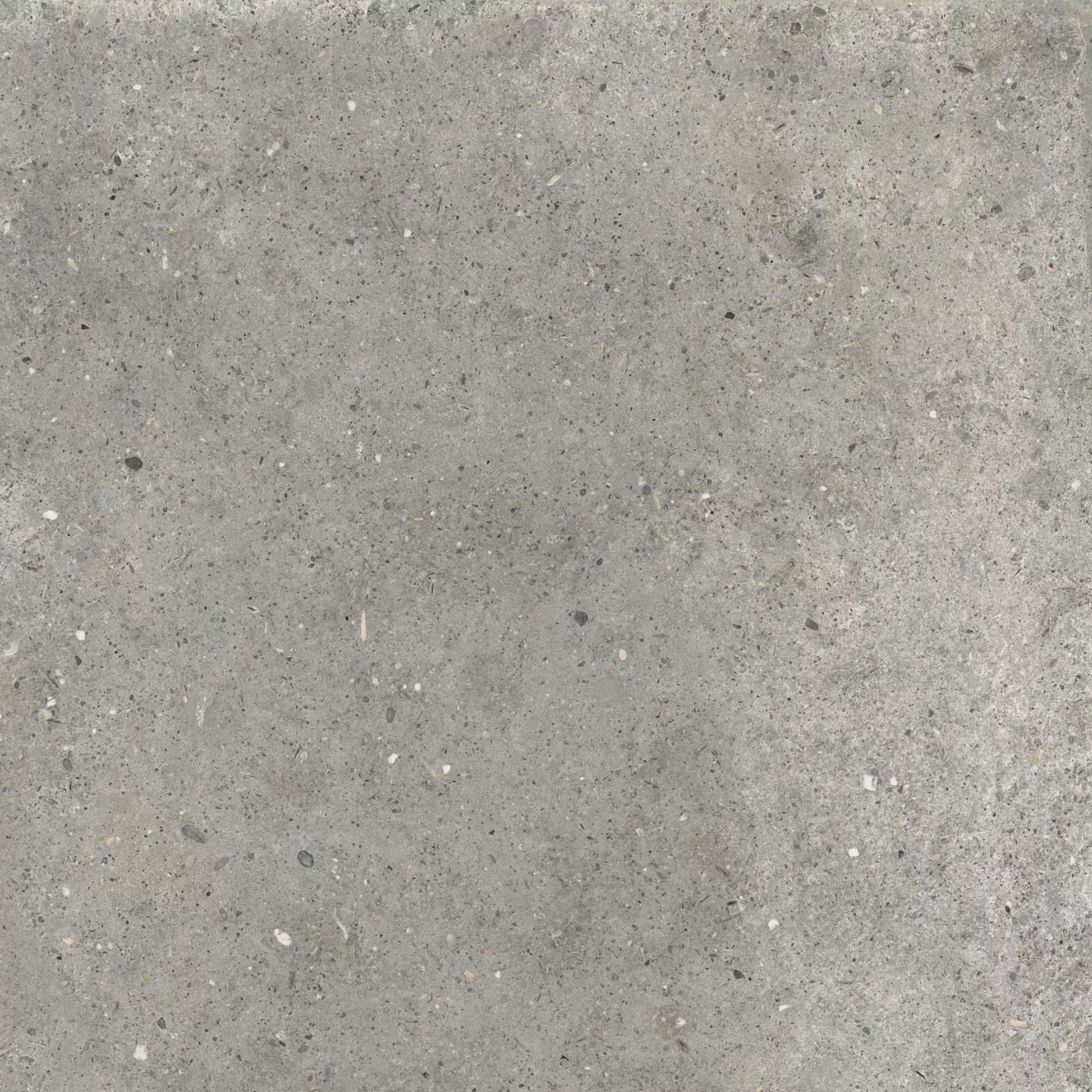 ABK Poetry Stone Pirenei Grey Naturale PF60010781 60x60cm rektifiziert 8,5mm