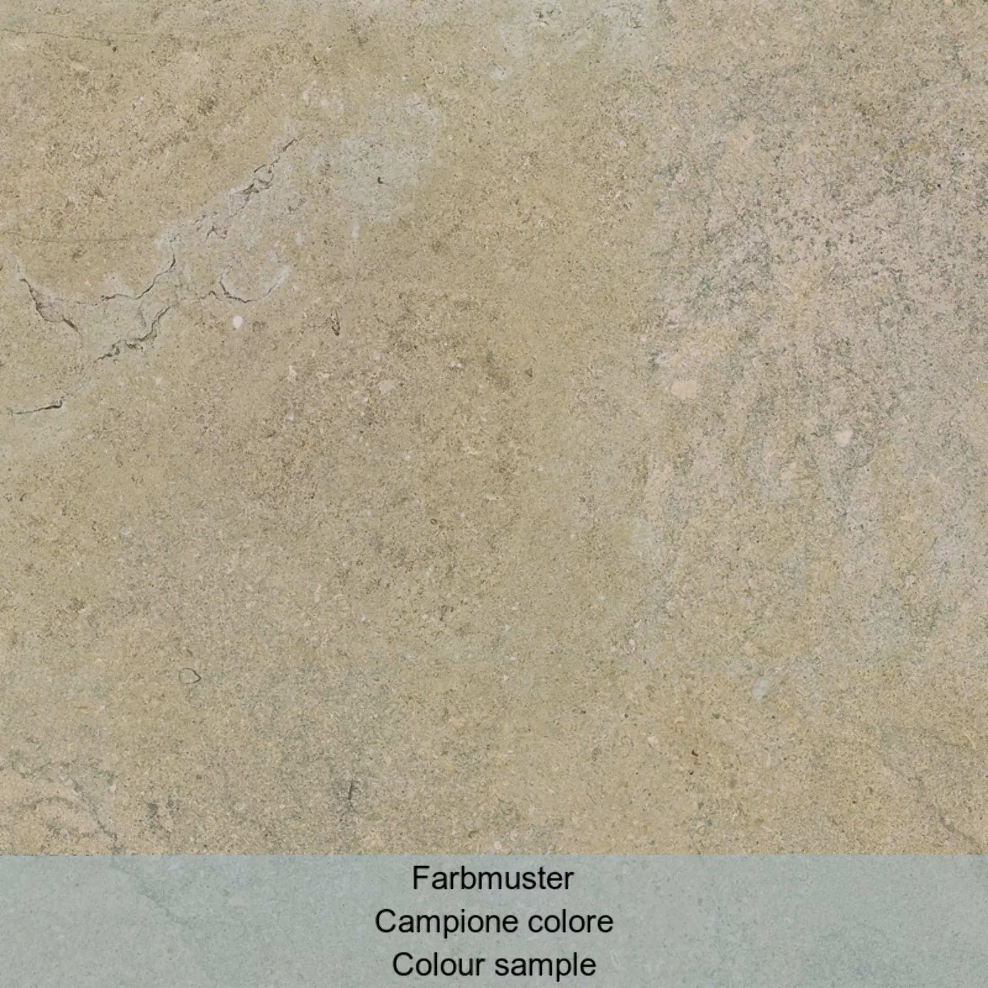 Casalgrande Chalon Beige Naturale – Matt Beige 1950006 natur matt 60x60cm rektifiziert 10mm