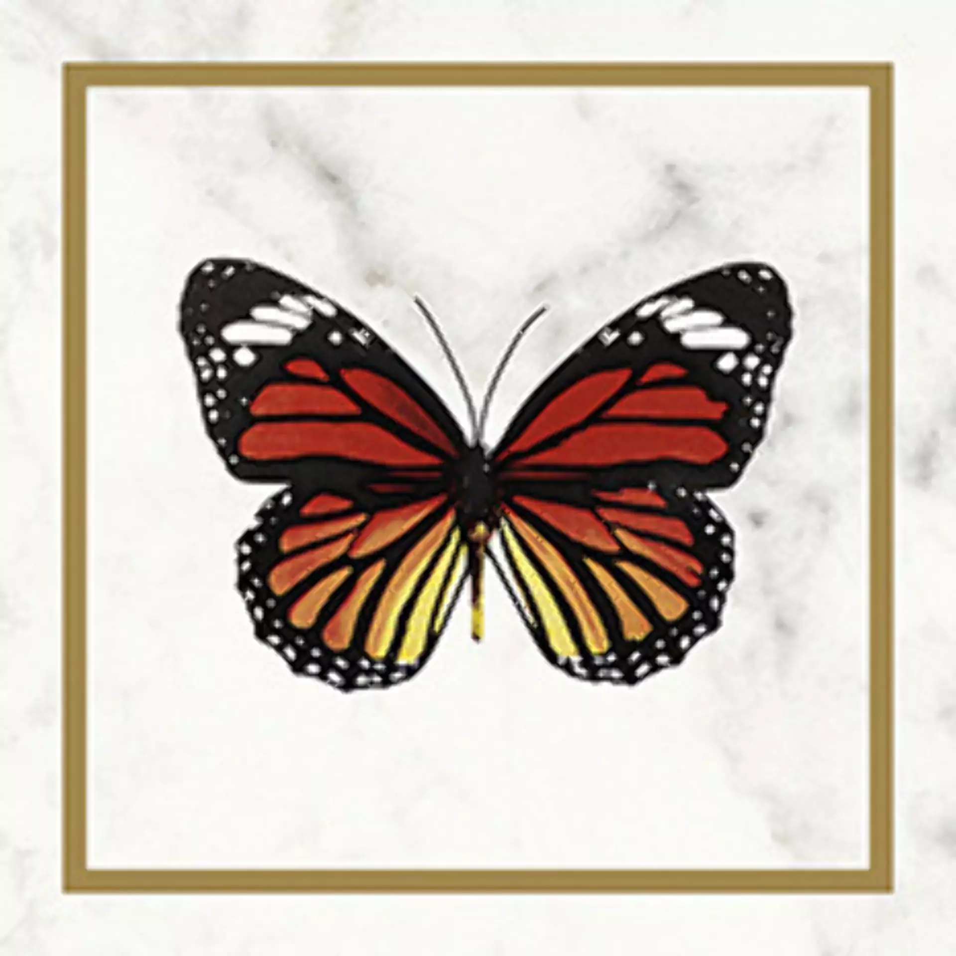Villeroy & Boch Victorian White - Gold Glossy Decor Butterfly 1222-MK0E 20x20cm rectified 10mm
