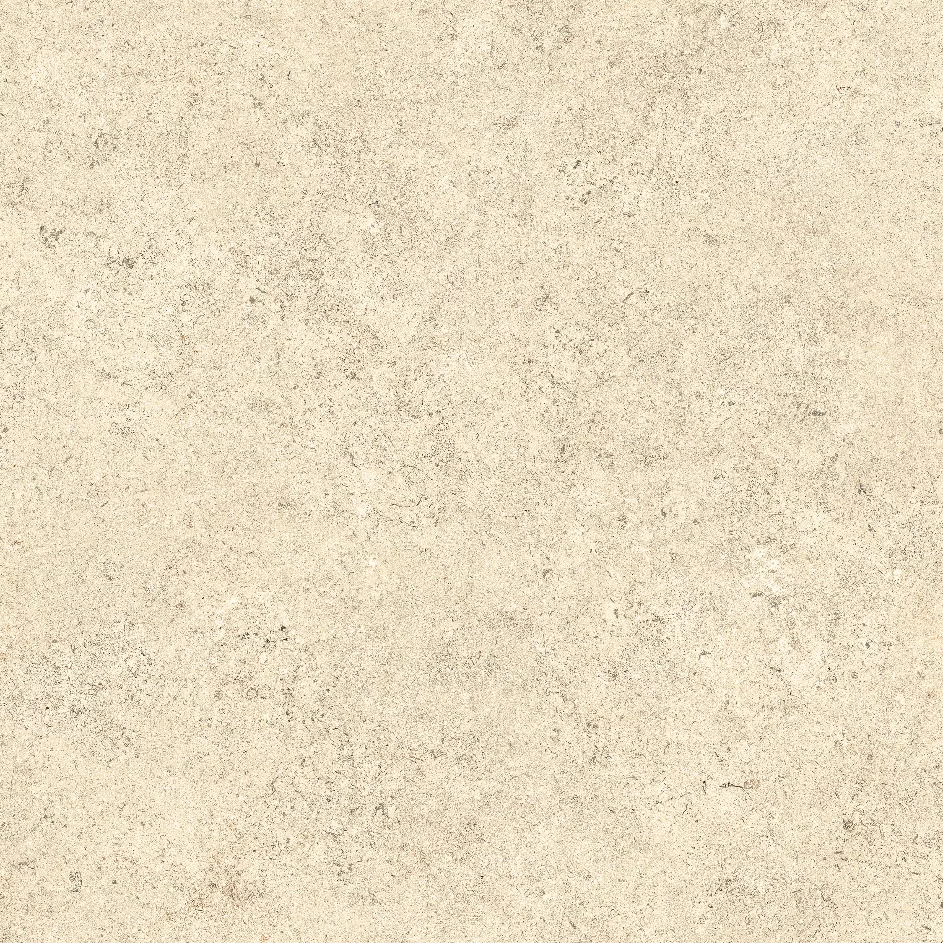 Cottodeste Pura Ivory Rolled Protect EGWPR15 60x60cm rectified 14mm
