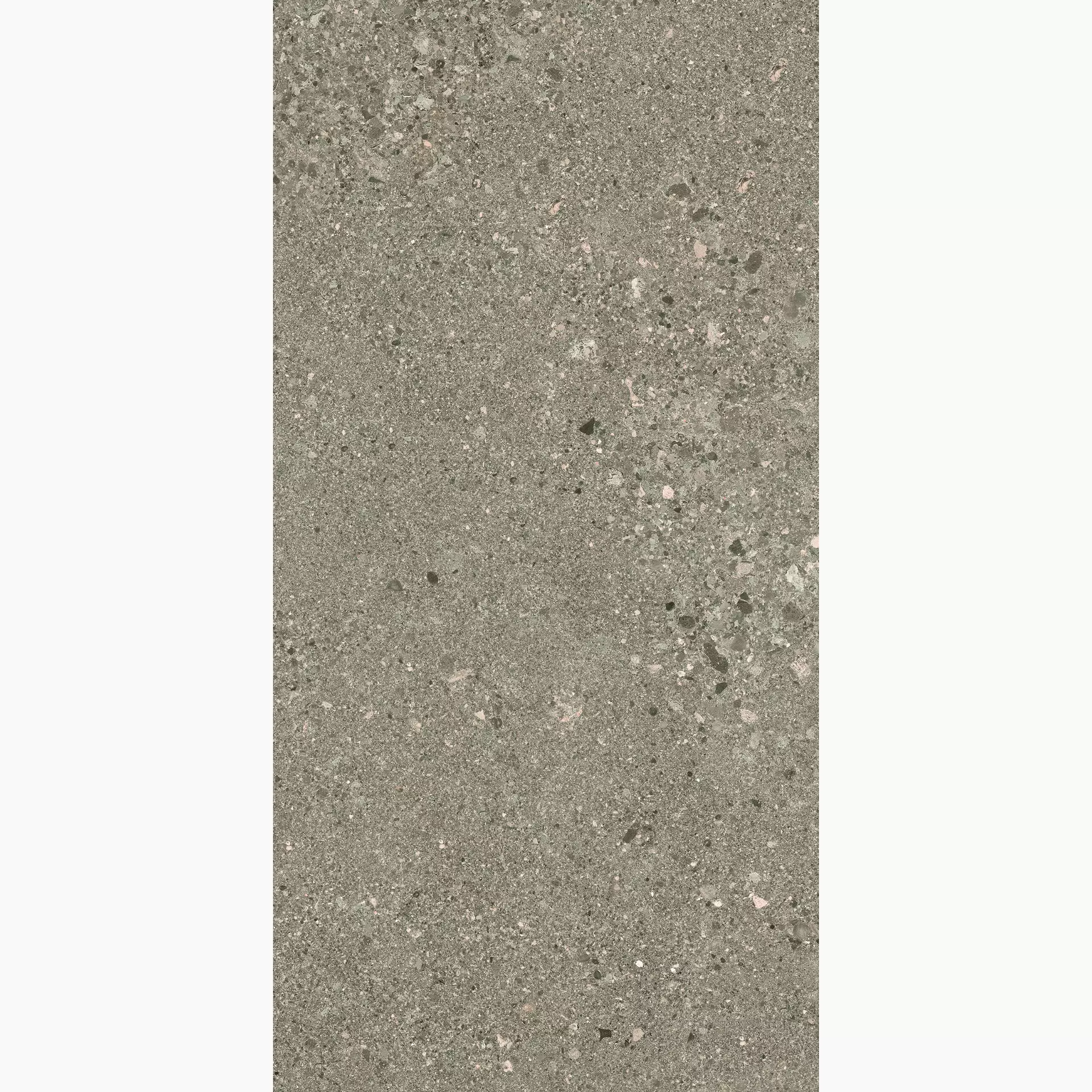Ergon Grain Stone Rough Grain Taupe Naturale E0CN 30x60cm rectified 9,5mm