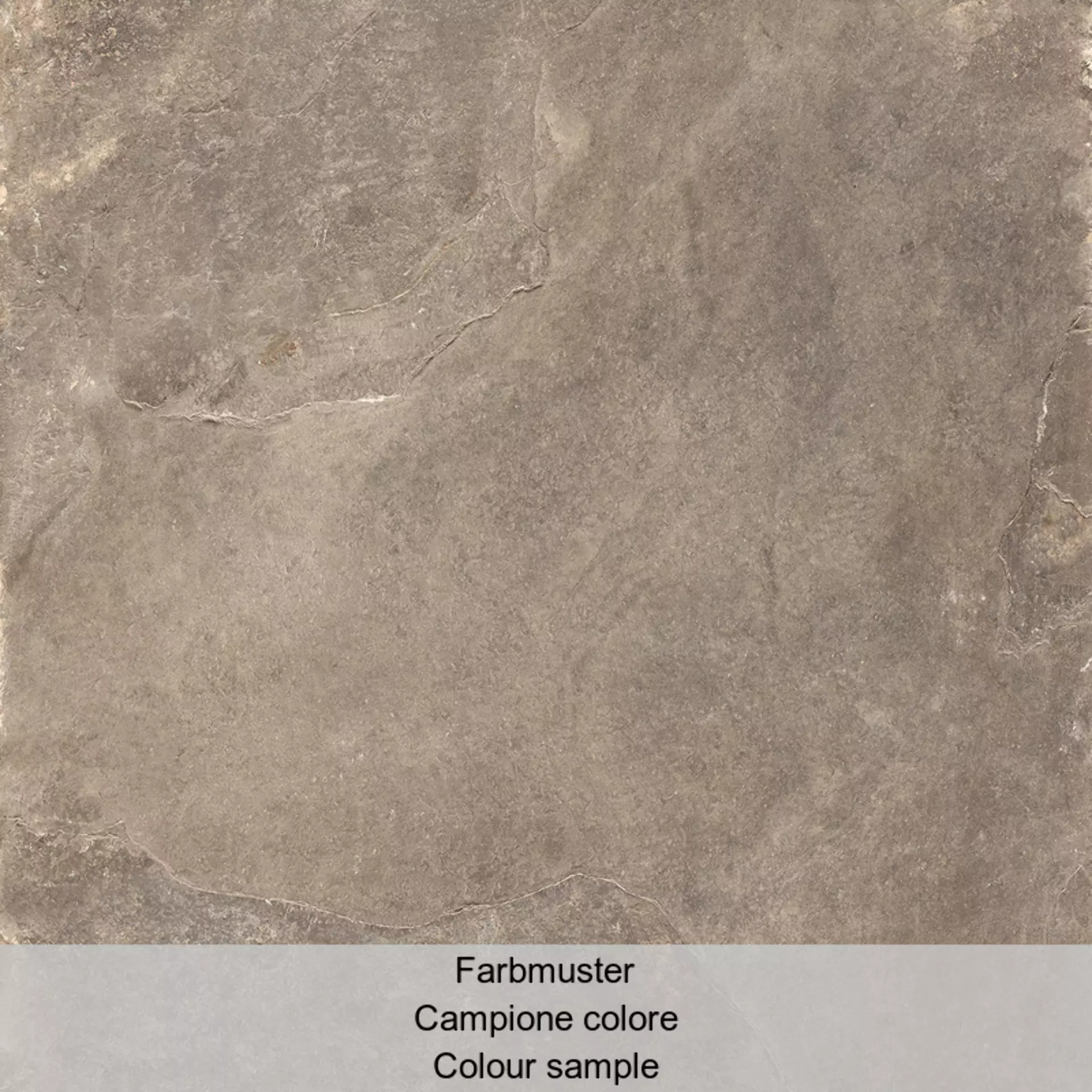 Rondine Ardesie Taupe Lappato J87236 60x60cm rectified 9,5mm