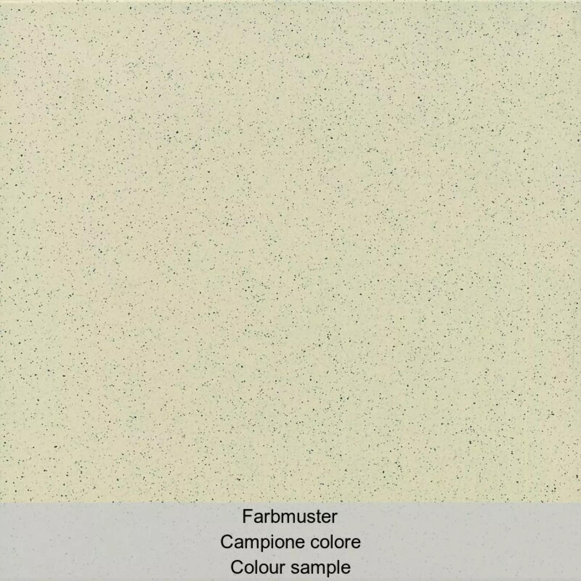 Casalgrande Granito 1 Nebraska Levigato – Antibacterial Nebraska 9709128 geschliffen 30x30cm 7,3mm